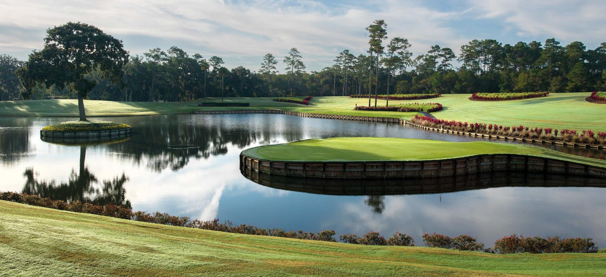 An elevated green surrounded by a water hazard
