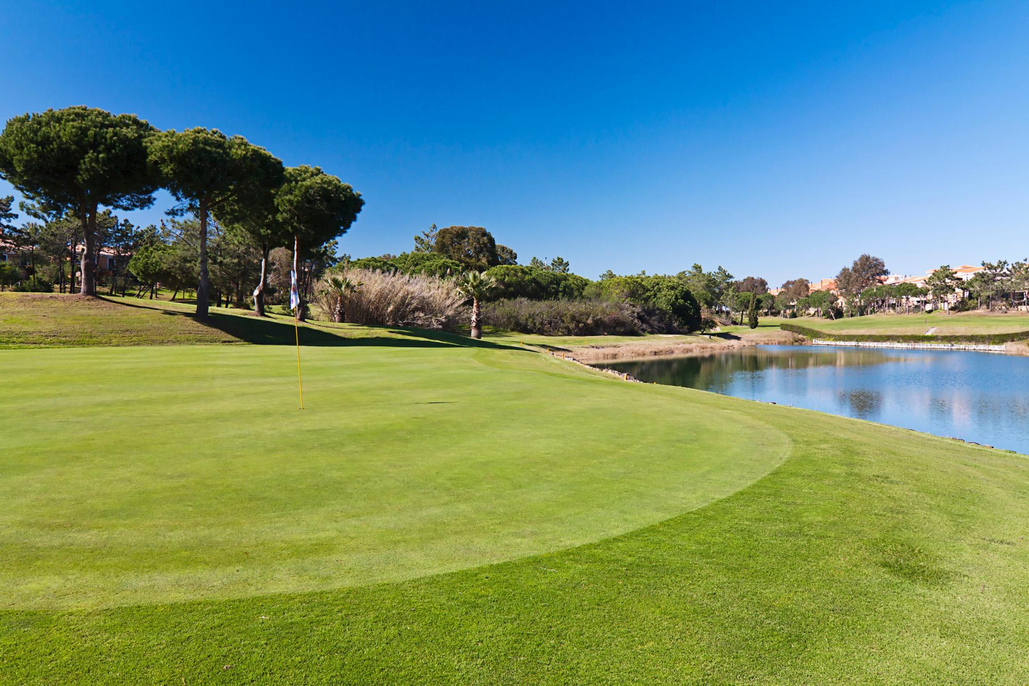 Smooth, manicured green with a water hazard behind
