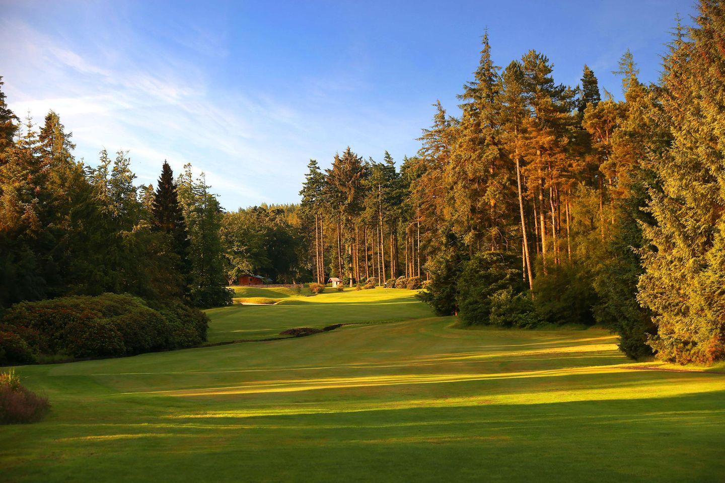 Narrow, tree-lined fairway leading up to the green over a small creek