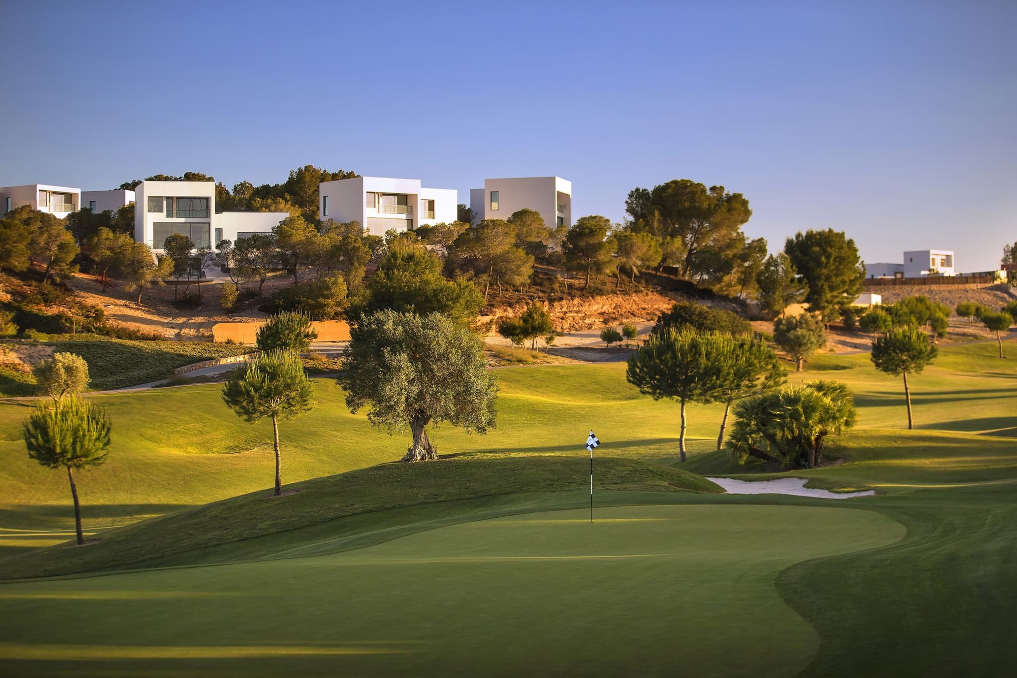 A well maintained fairway with trees