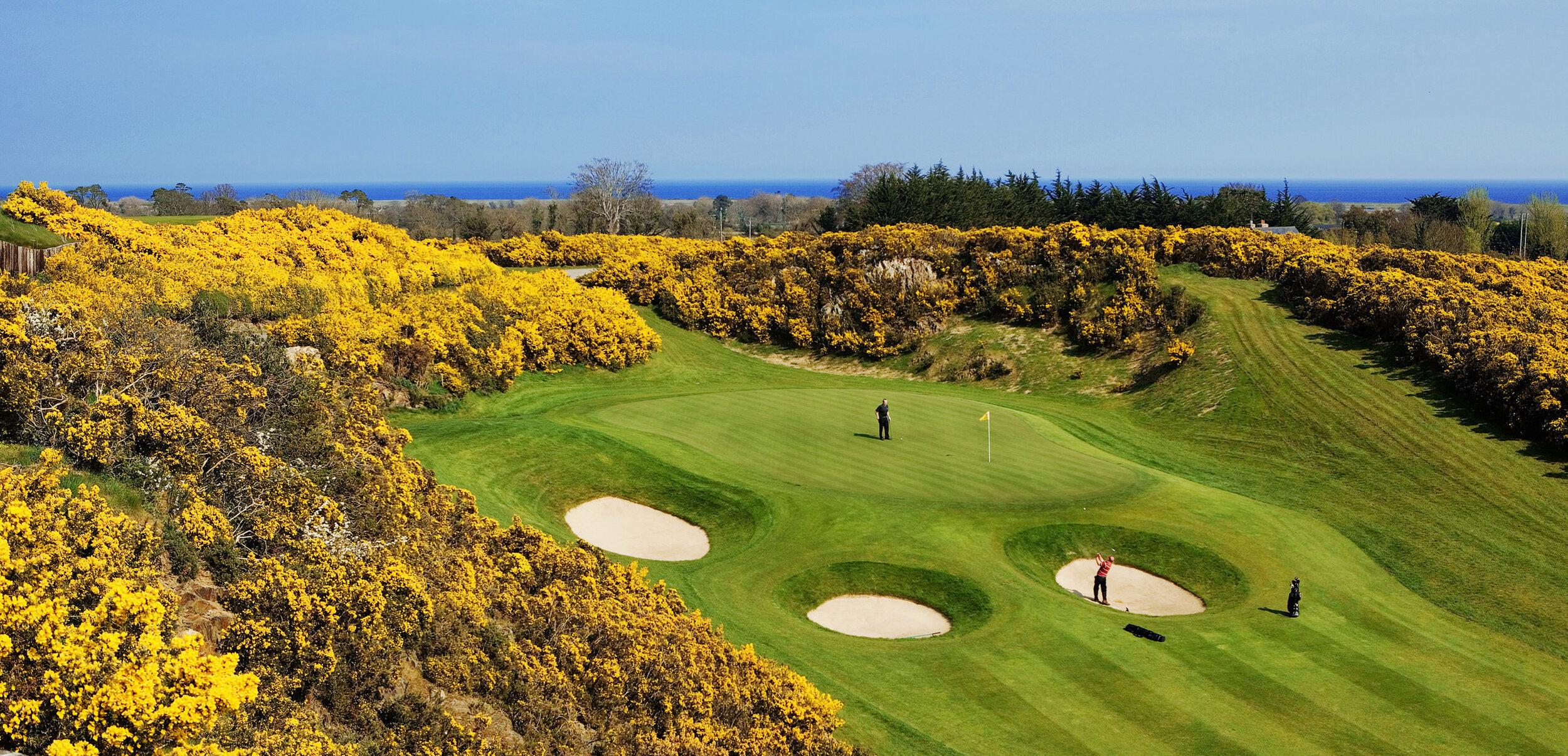 Overhead view of a smooth green surrounded by sand bunkers