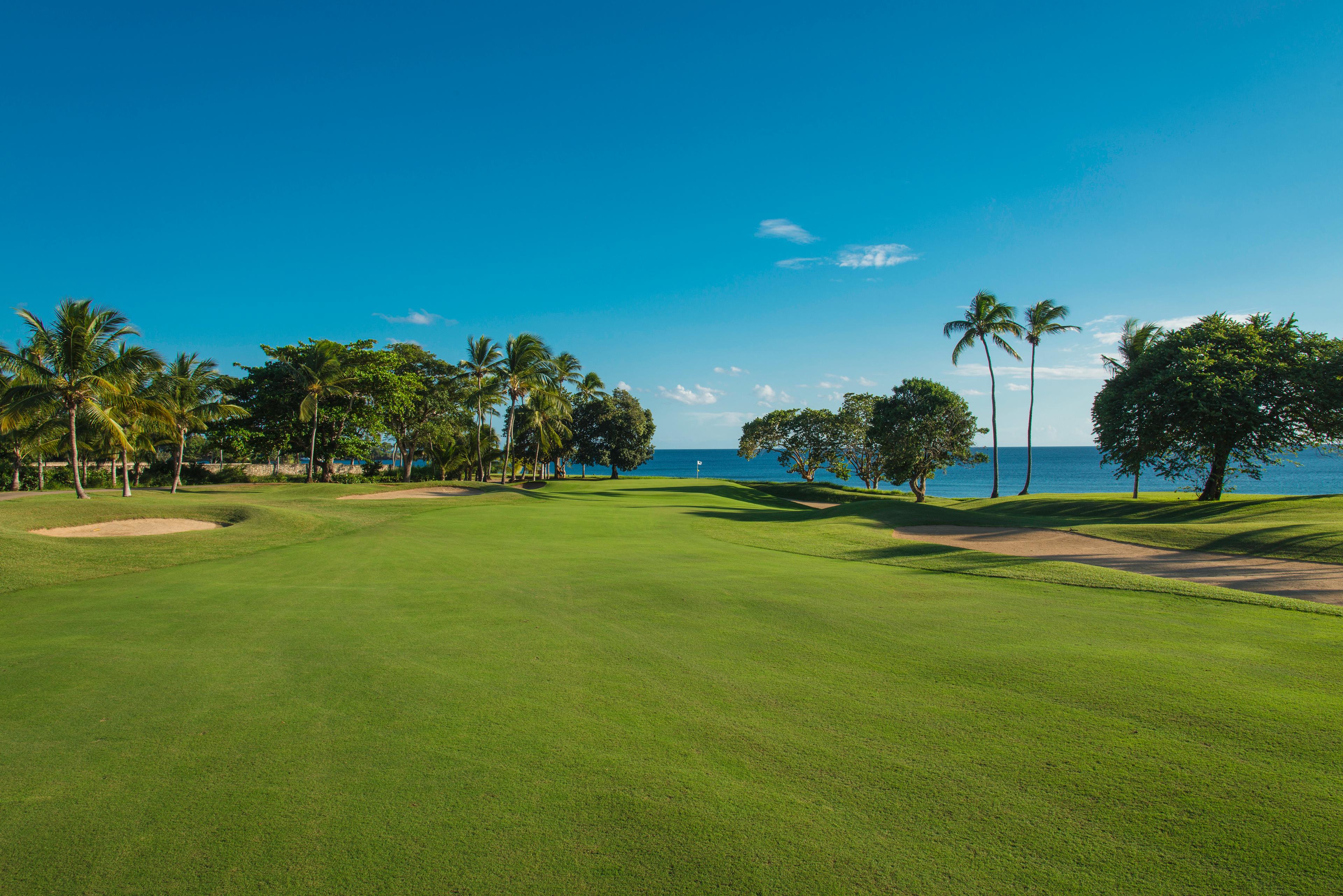 A well maintained fairway nestled with sand bunkers