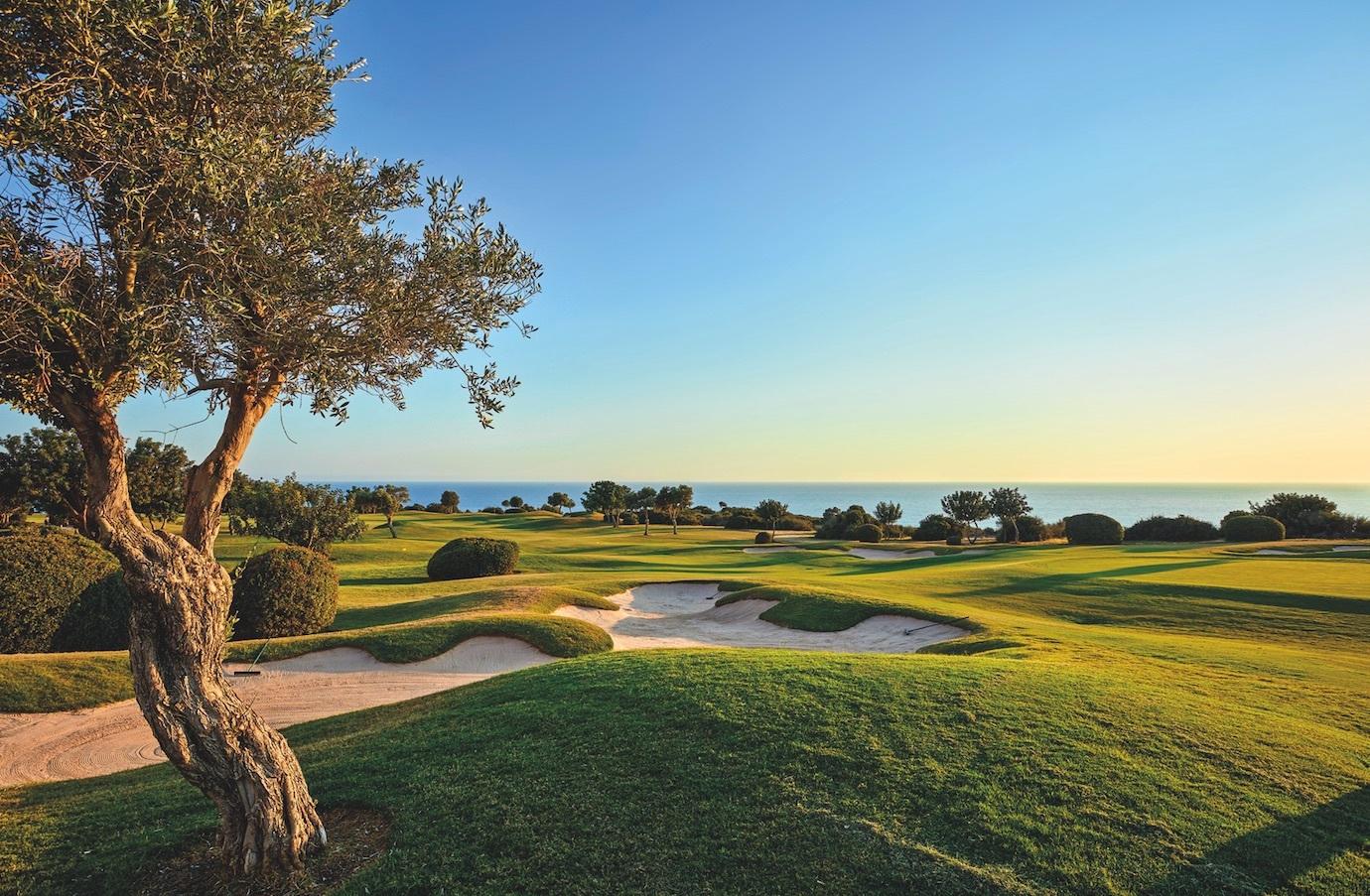 Manicured fairway nestled with sand bunkers