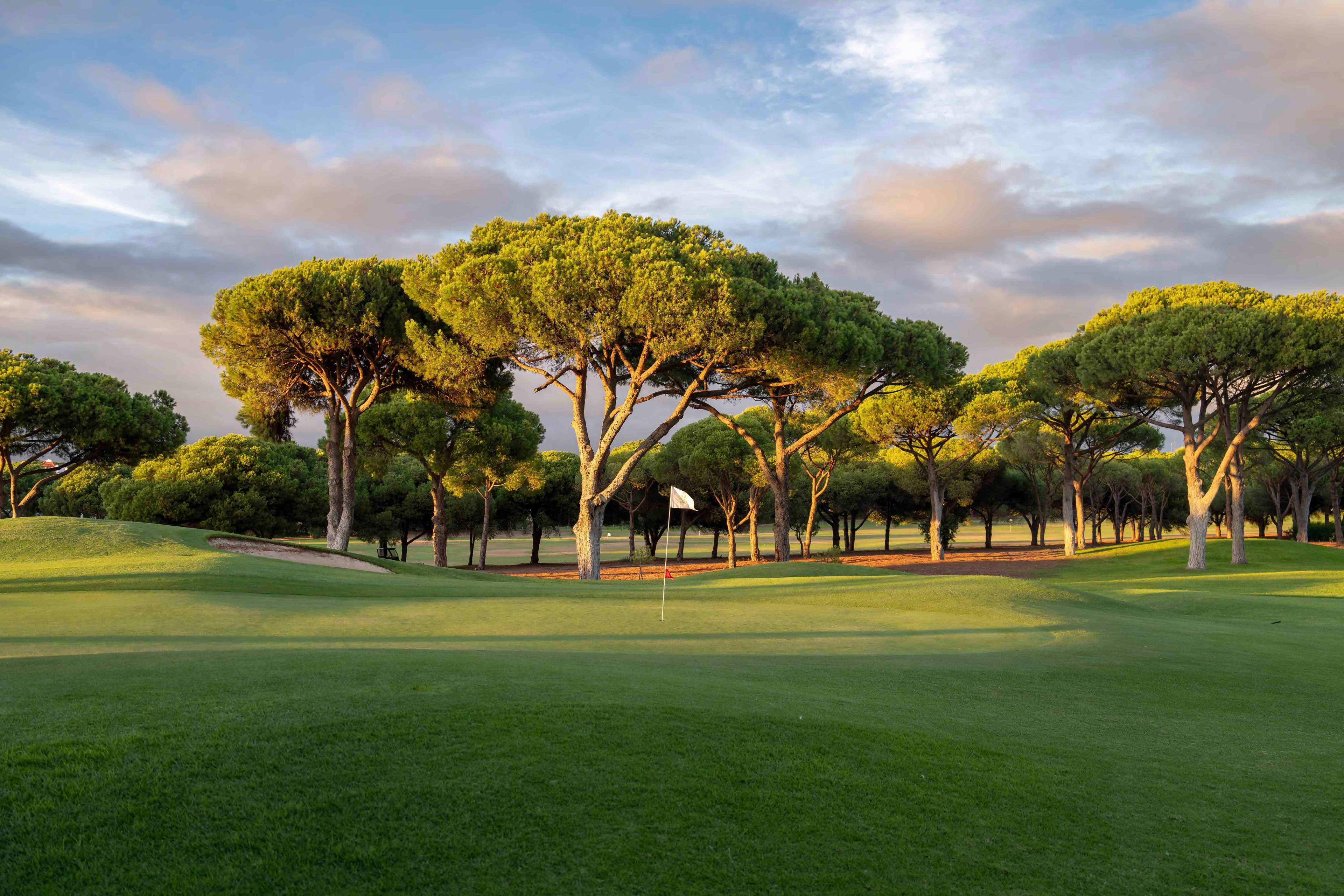 Spring & Autumn Favorites