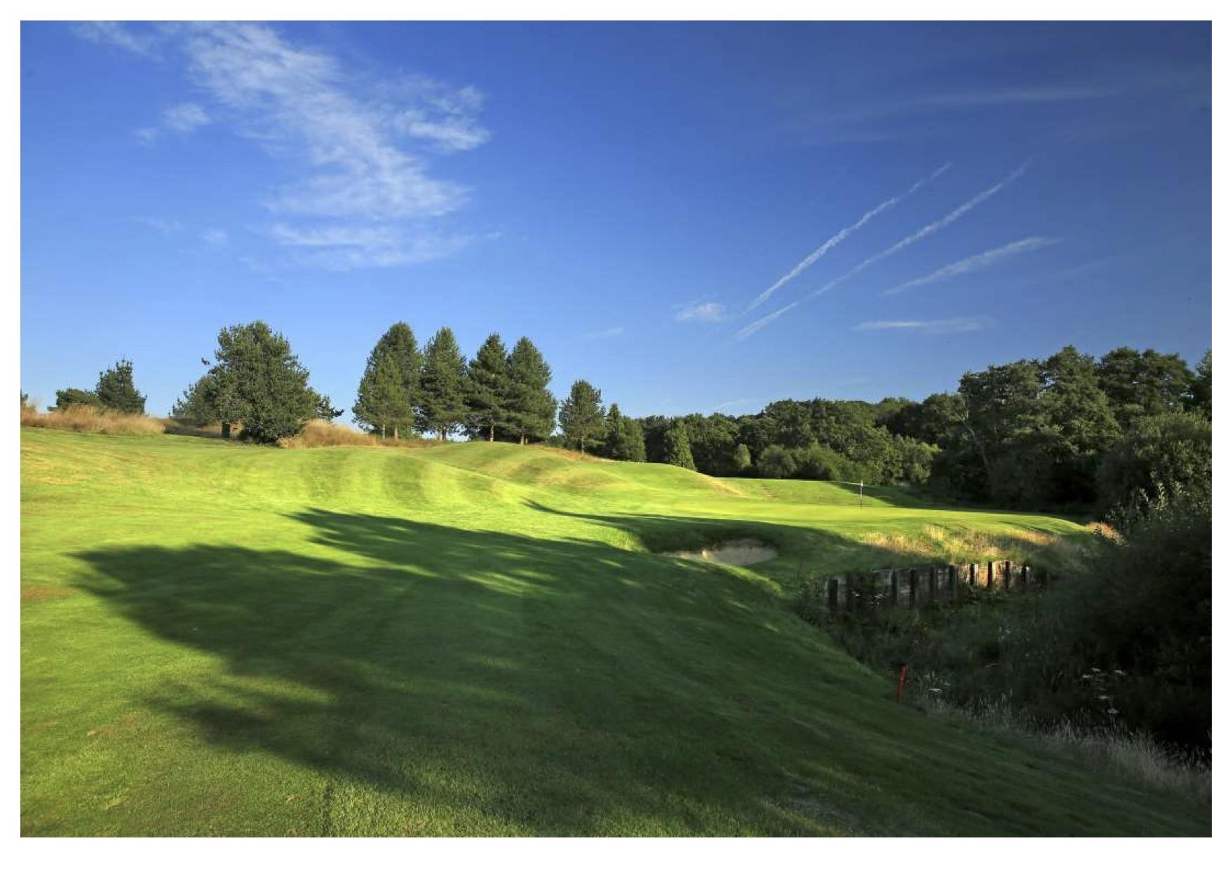 Fairway winding around a water hazard to the green
