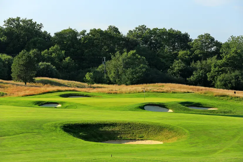 Manicure fairway (foreground) with an undulating green and trees in the background