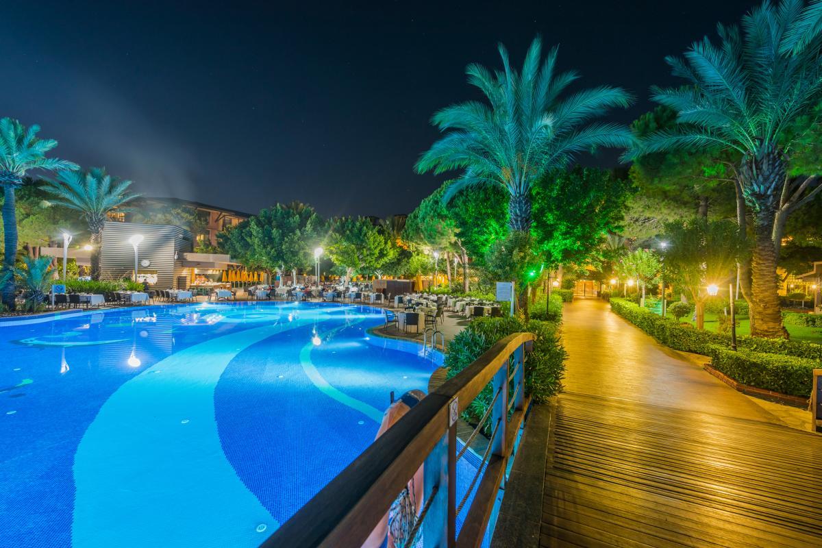 Outdoor pool area with palm trees around it (night time)