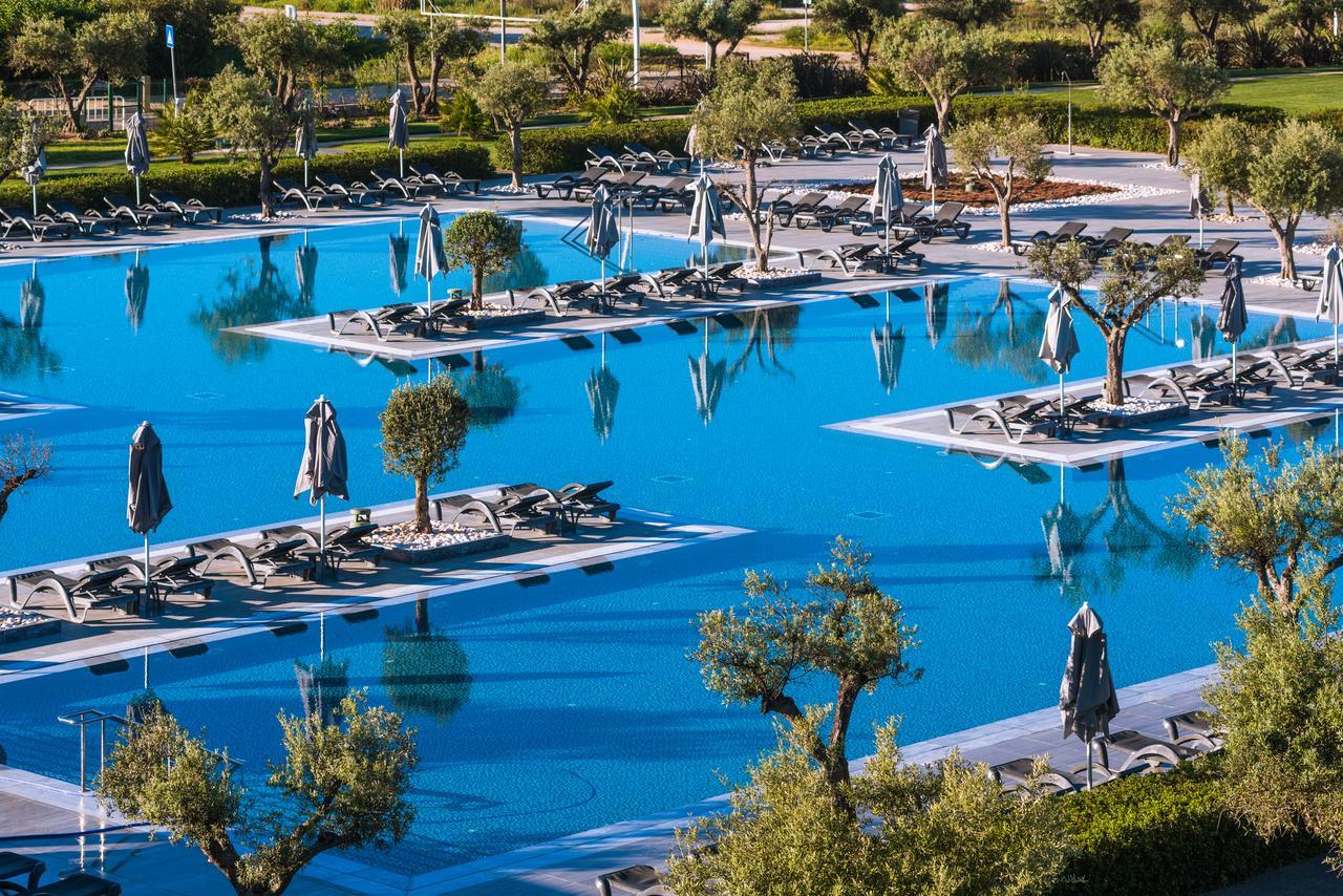 overhead view of the outdoor swimming pool at the hotel