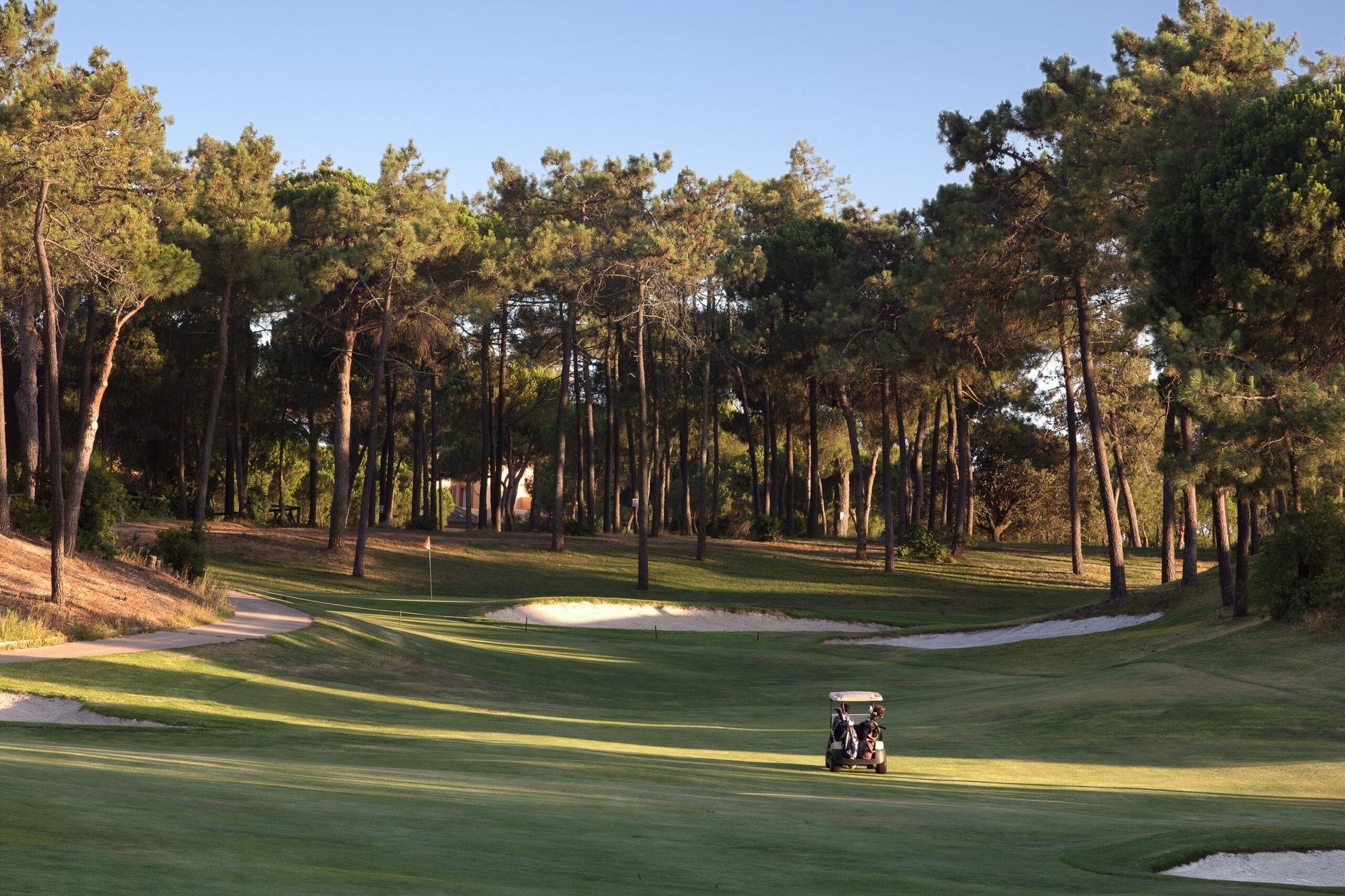 Two players in a buggy driving up a tree-lined fairway towards the green