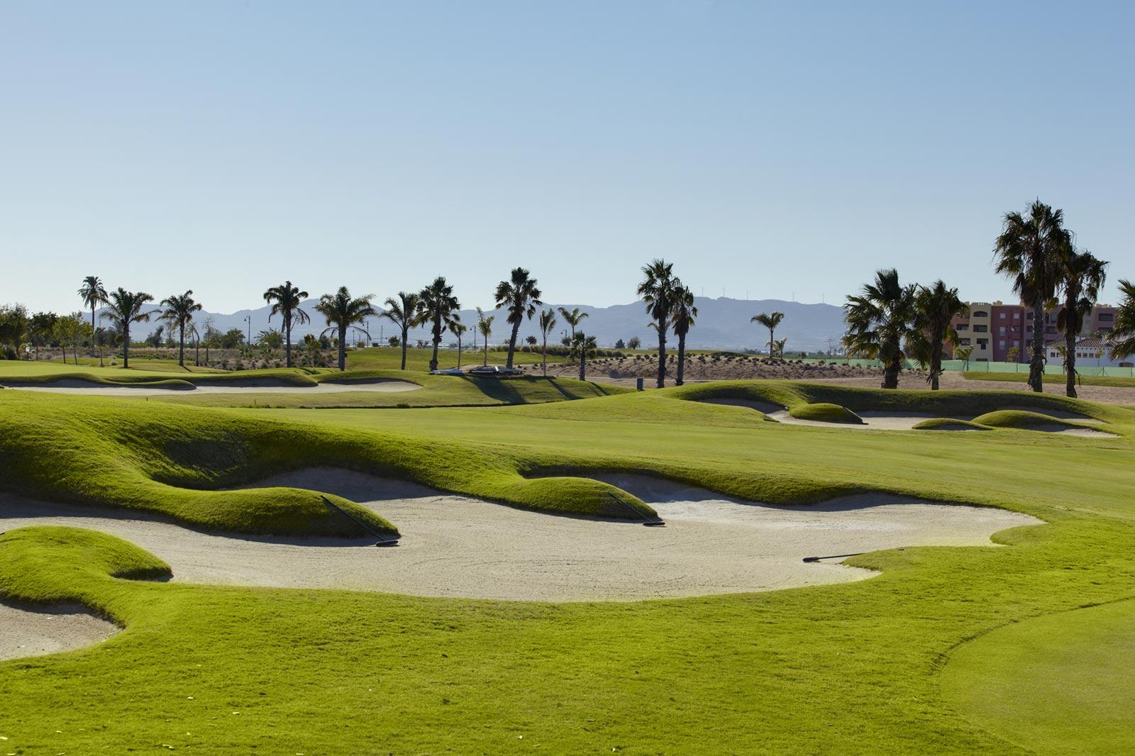 Golf course interspersed with large bunkers and palm trees