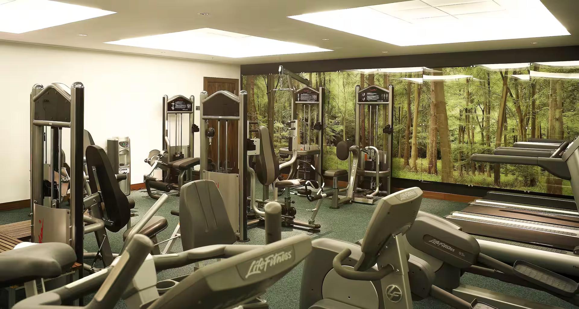 Gym facilities at the Park Plaza County Hall