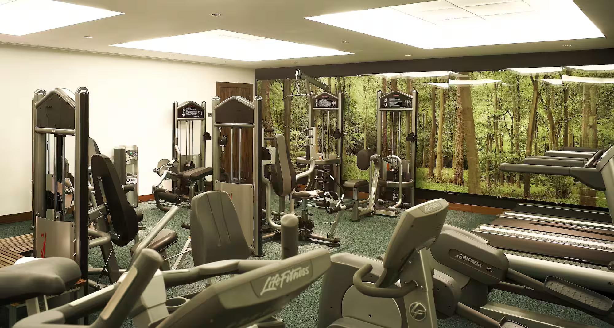 Gym facilities at the Park Plaza County Hall