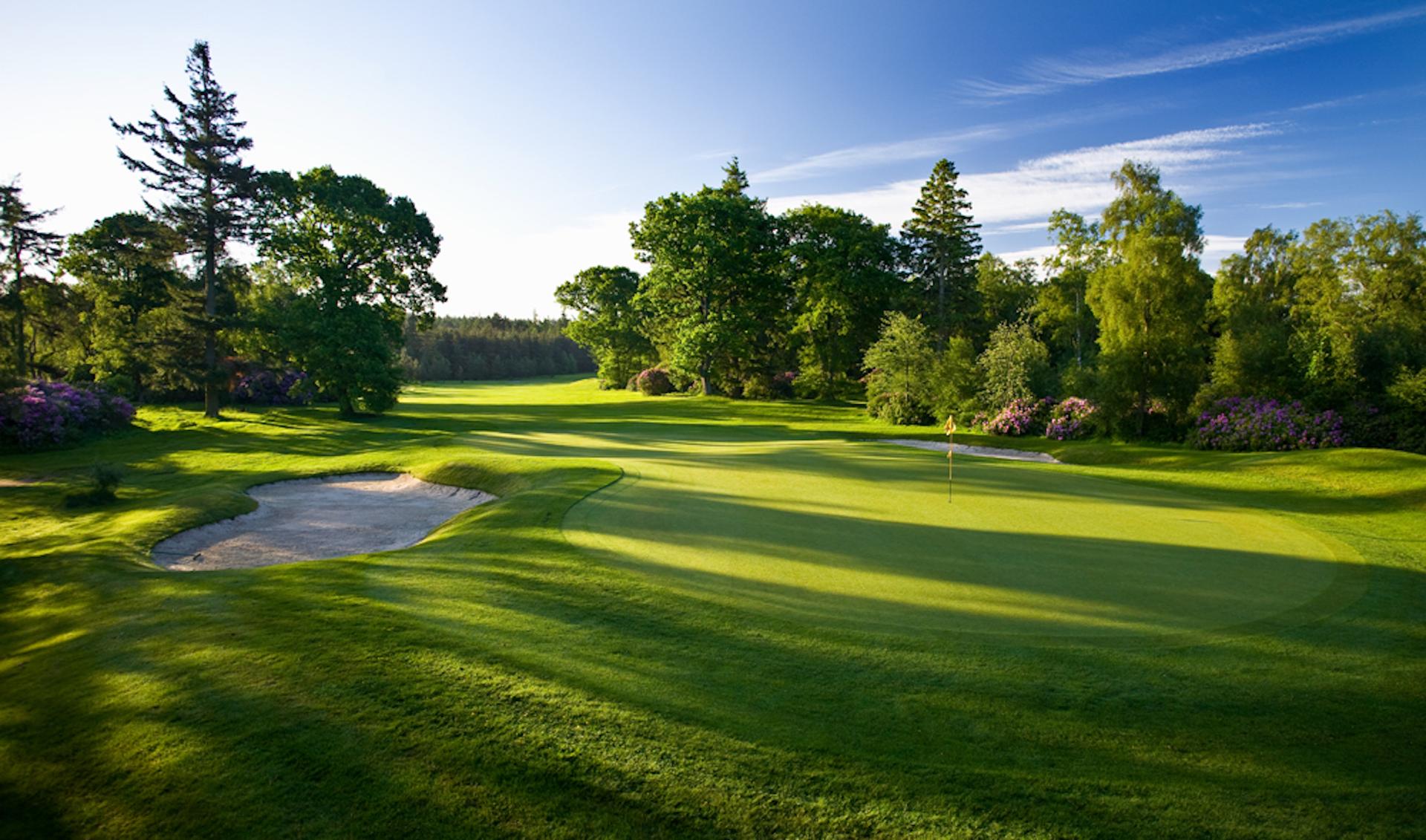 Green surrounded by bunkers and trees