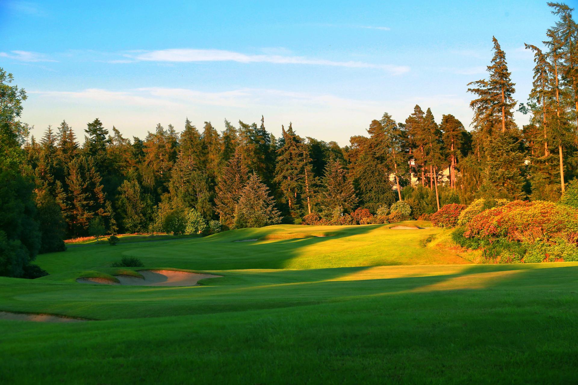 Undulating, tree-lined fairway leading to a green (dusk)