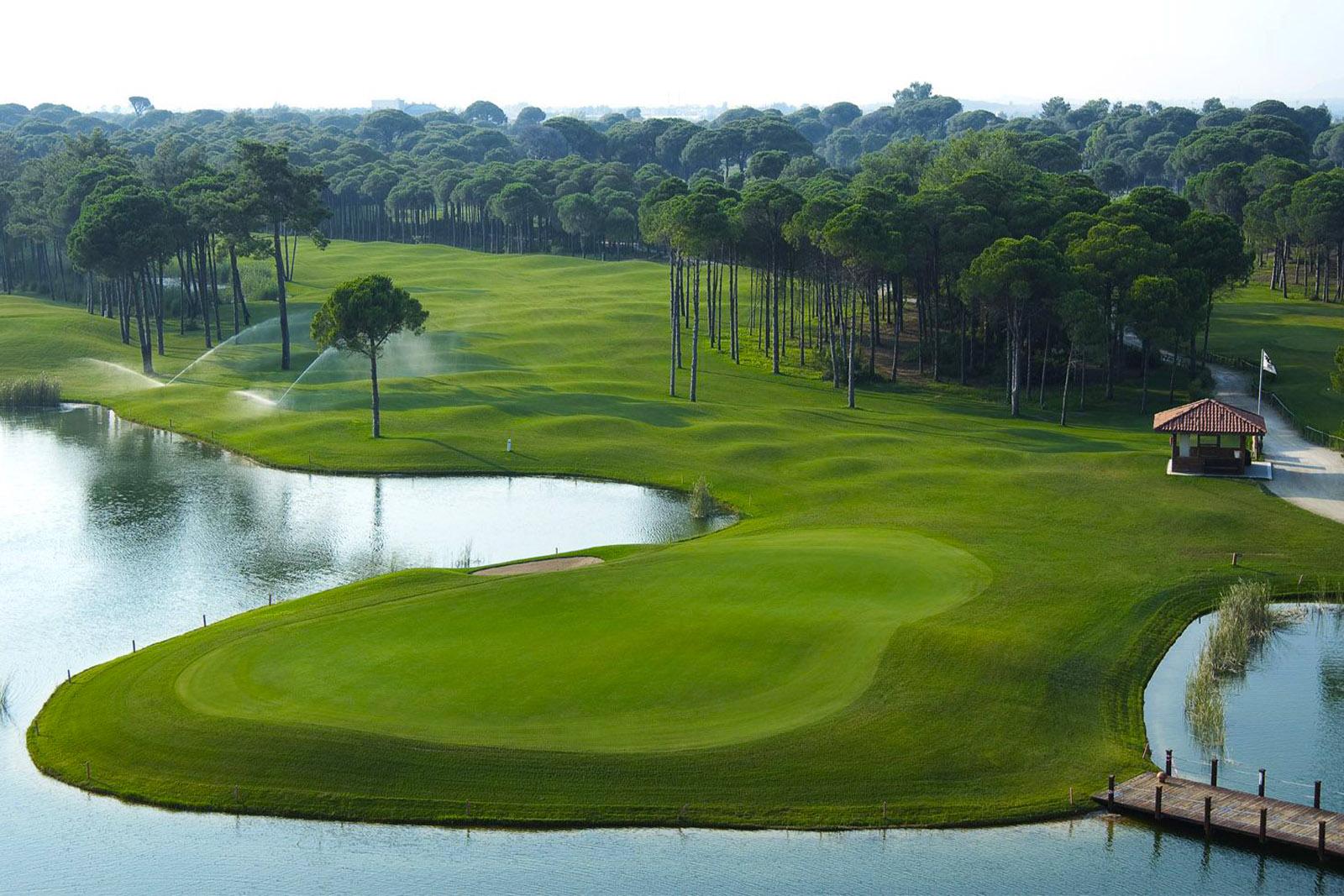Tree-lined, undulating fairway leading to a green almost entirely surrounded by a water hazard