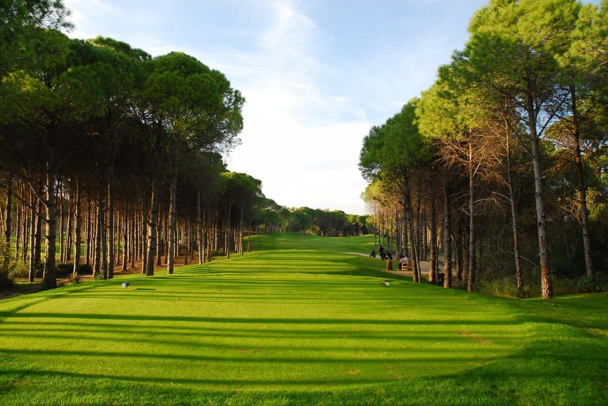 Tree-lined tee shot at Sueno Golf Club