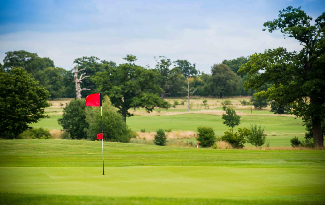 A smooth green with a red flagstick
