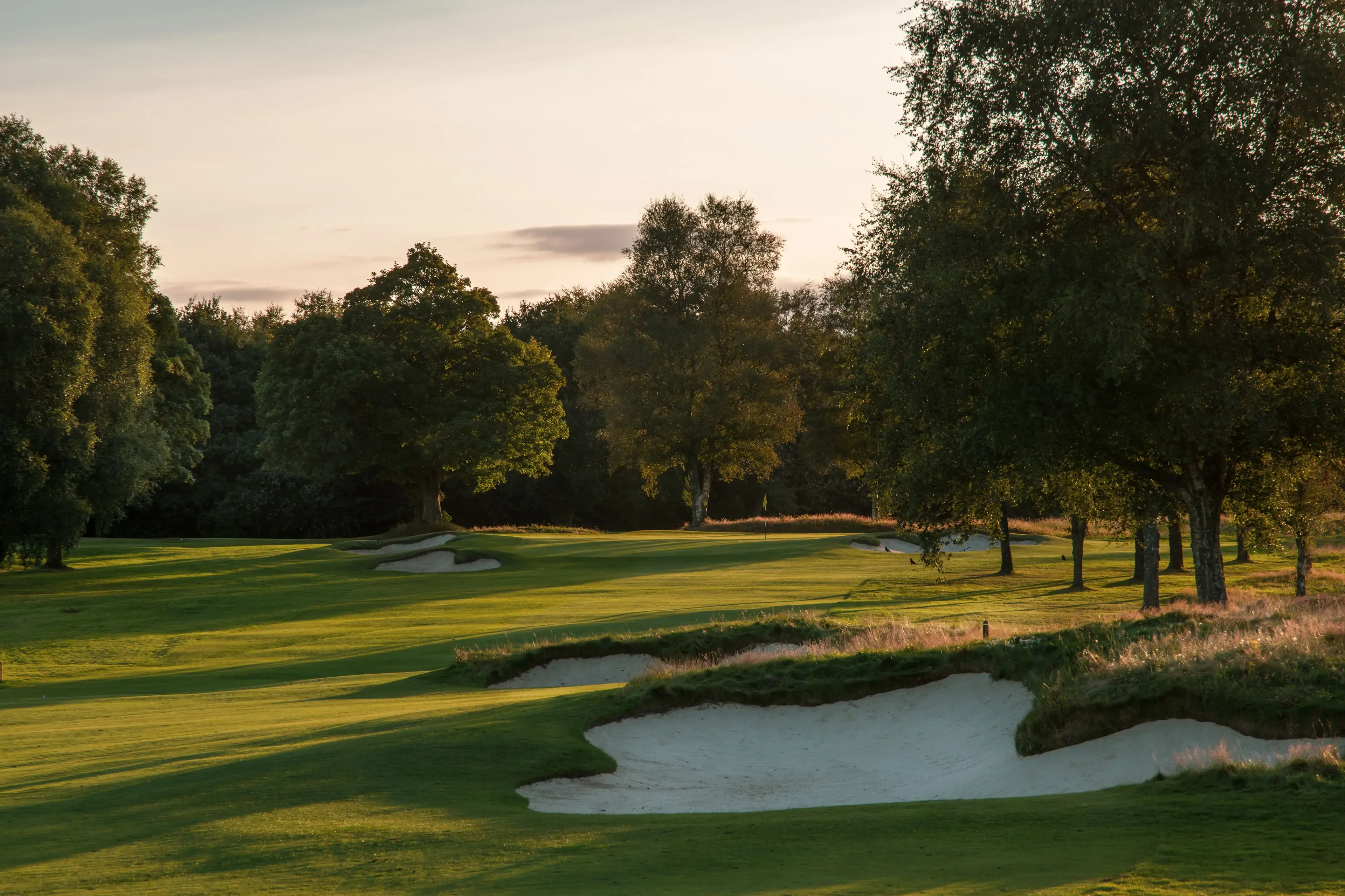 A well maintained fairway nestled with sand bunkers