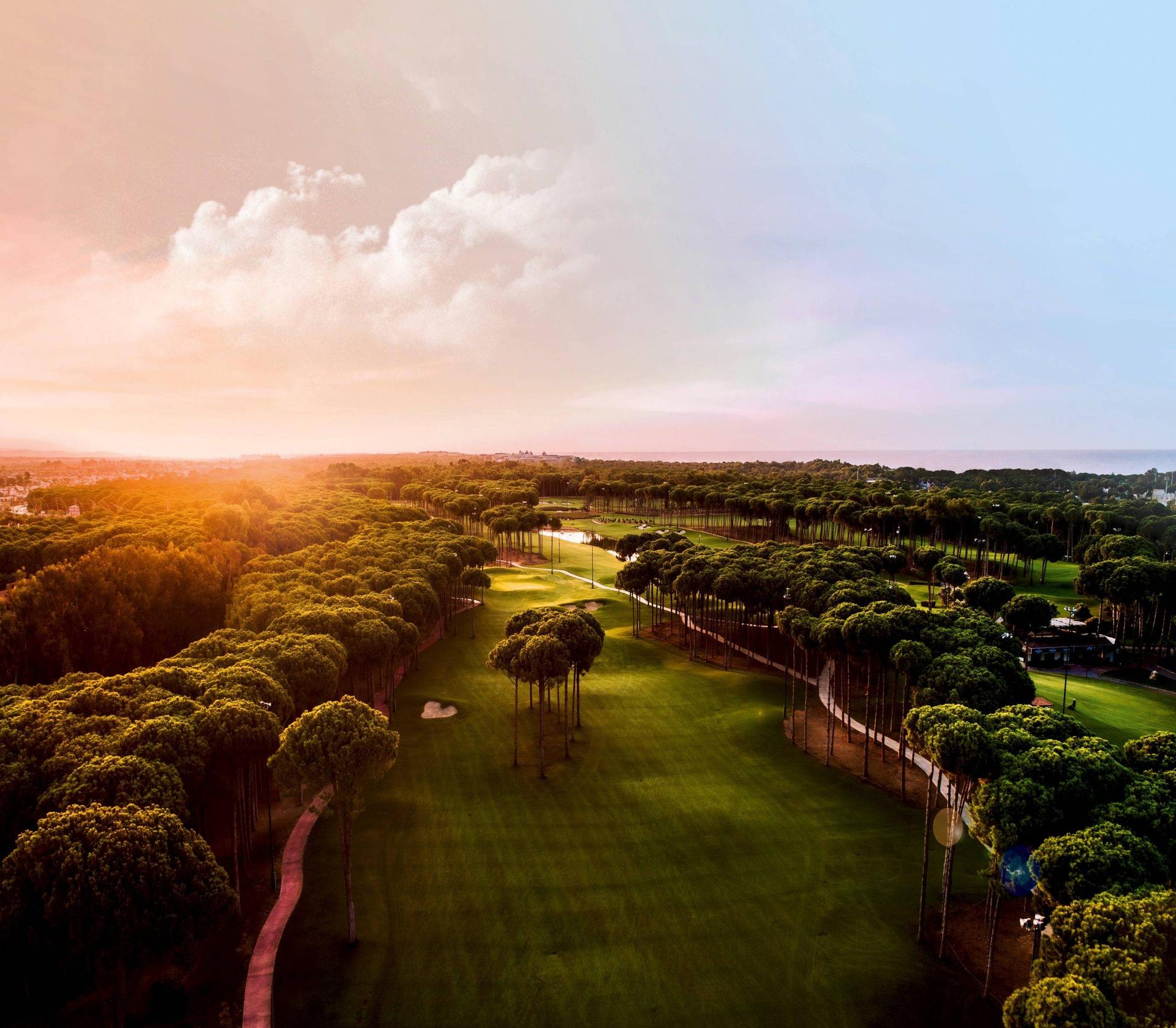 smooth golf green at sunset