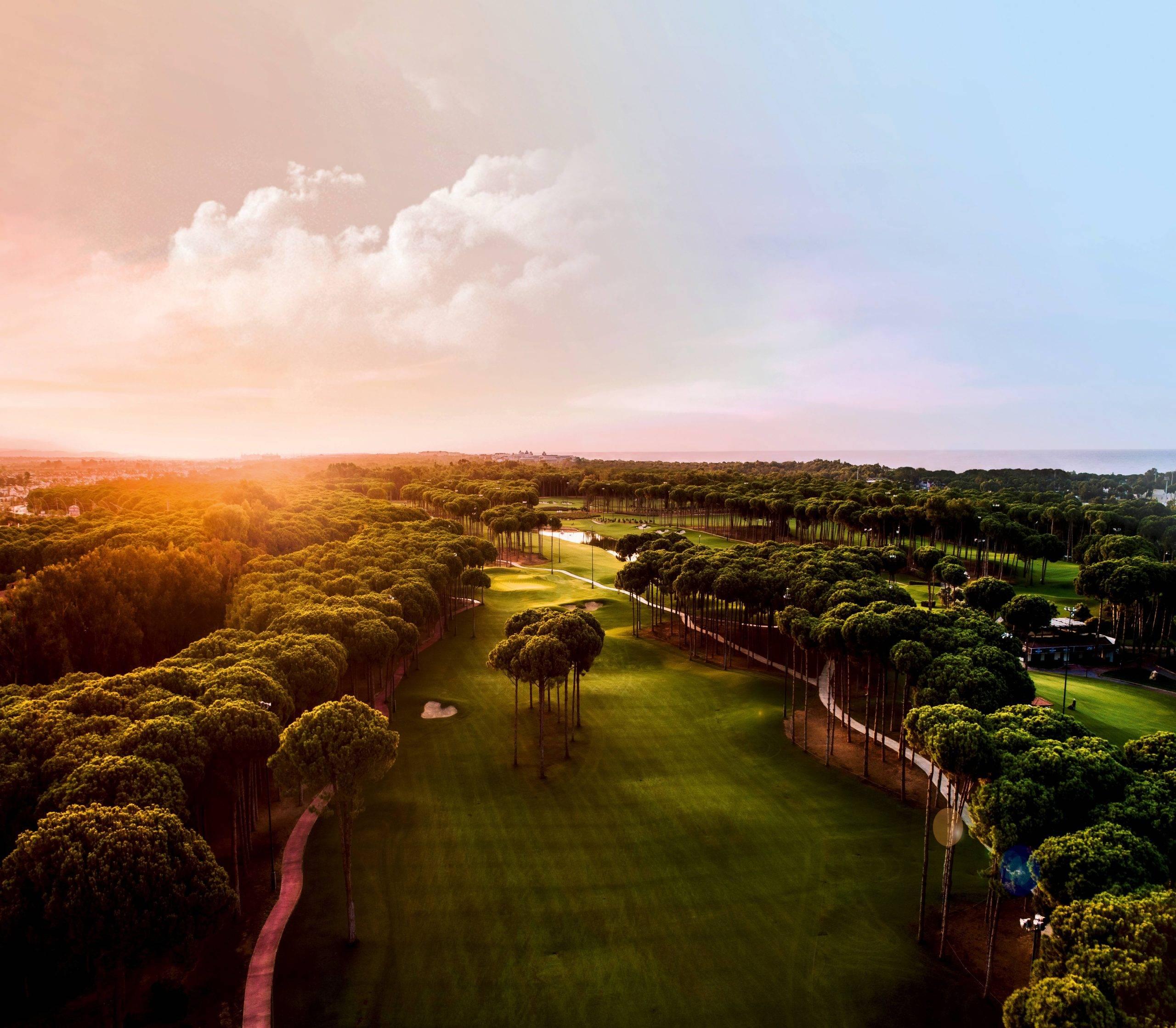 smooth golf green at sunset