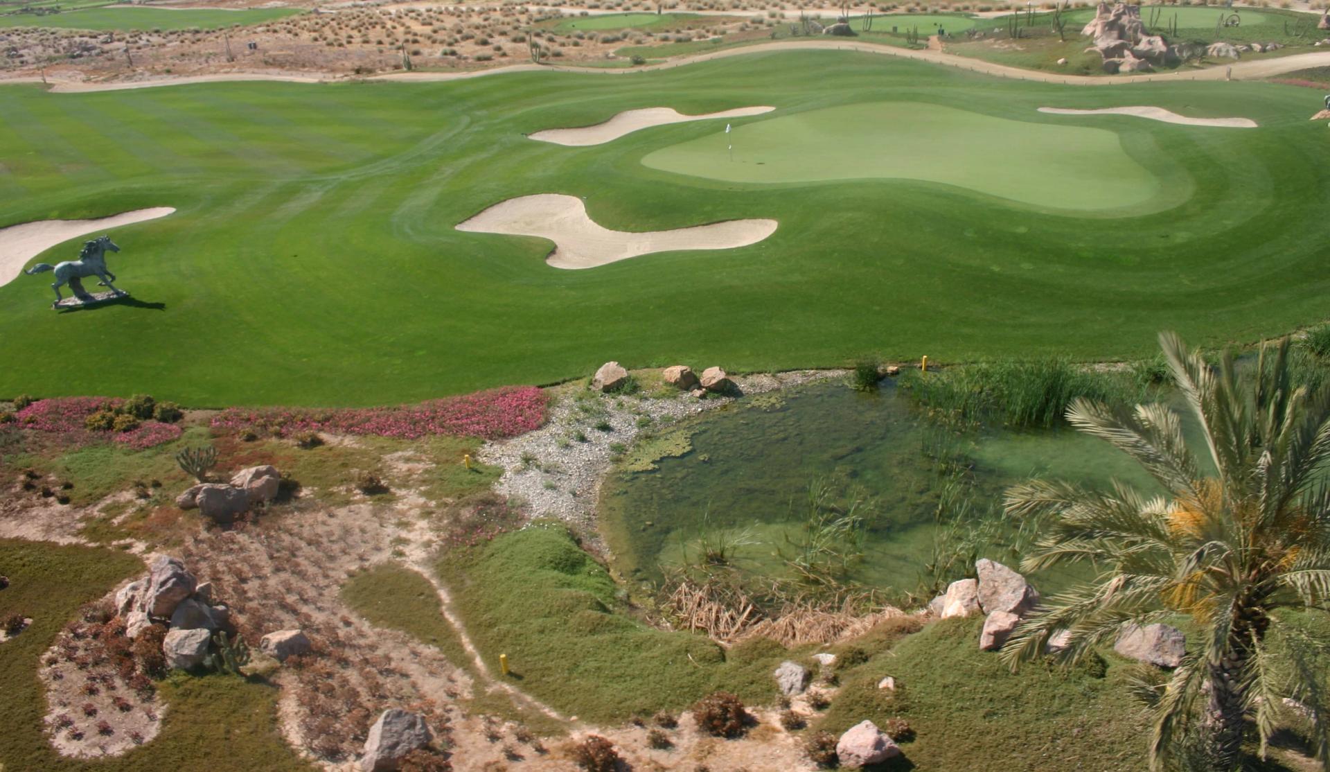 Fairway leading to smooth green surrounded by sand bunkers