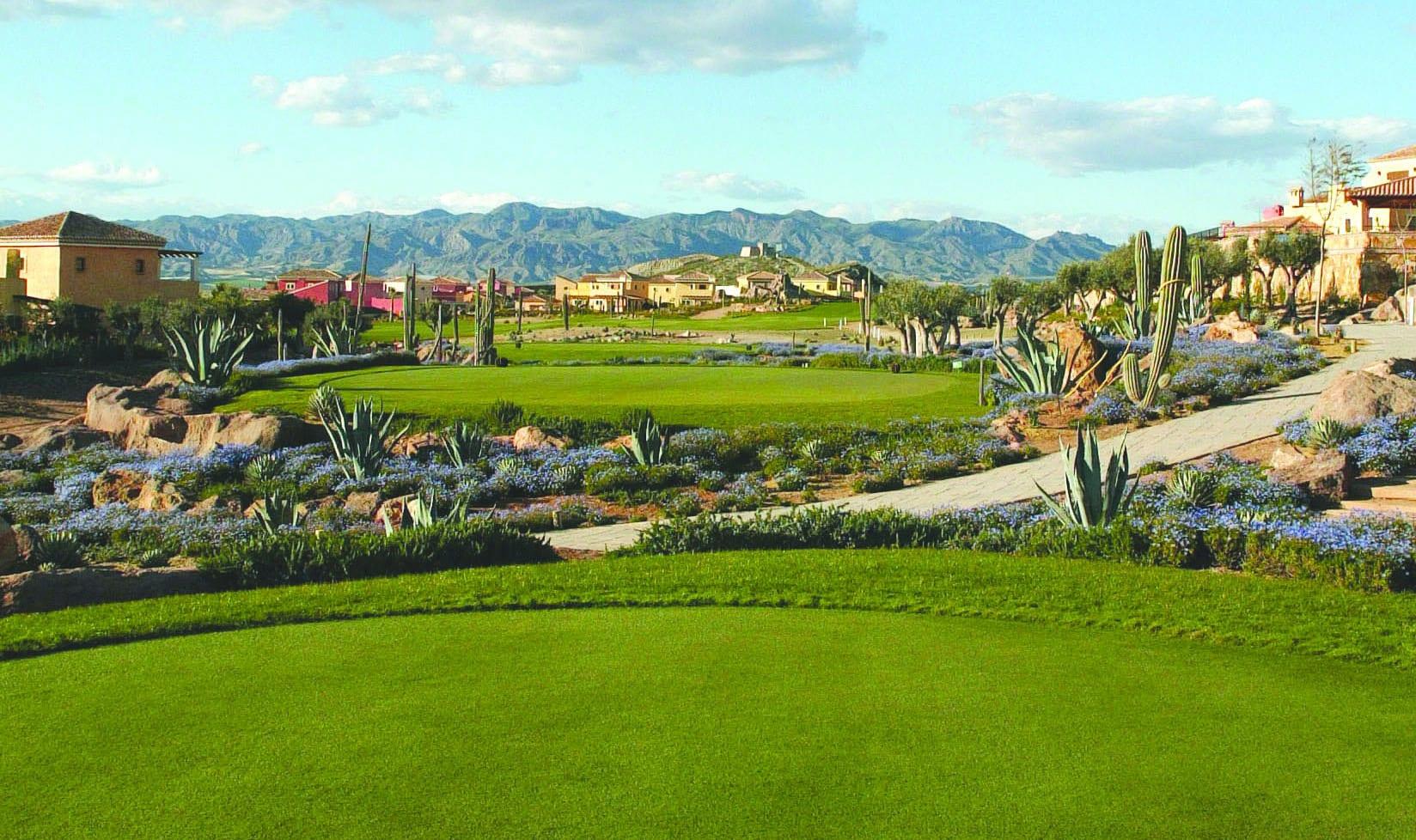 Tee box leading to fairway at Desert Springs Resort
