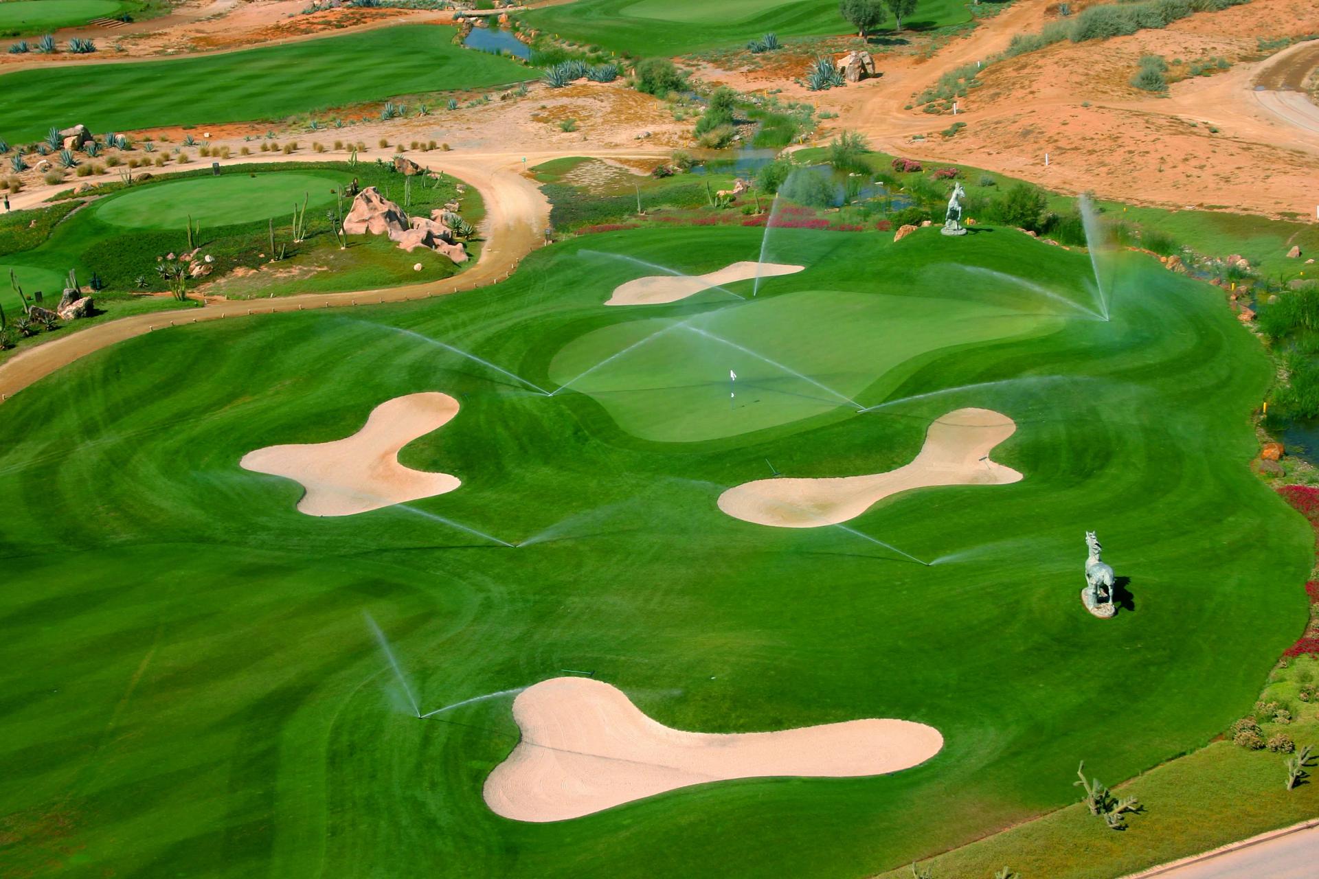 Overhead view of a smooth green surrounded by sand bunkers