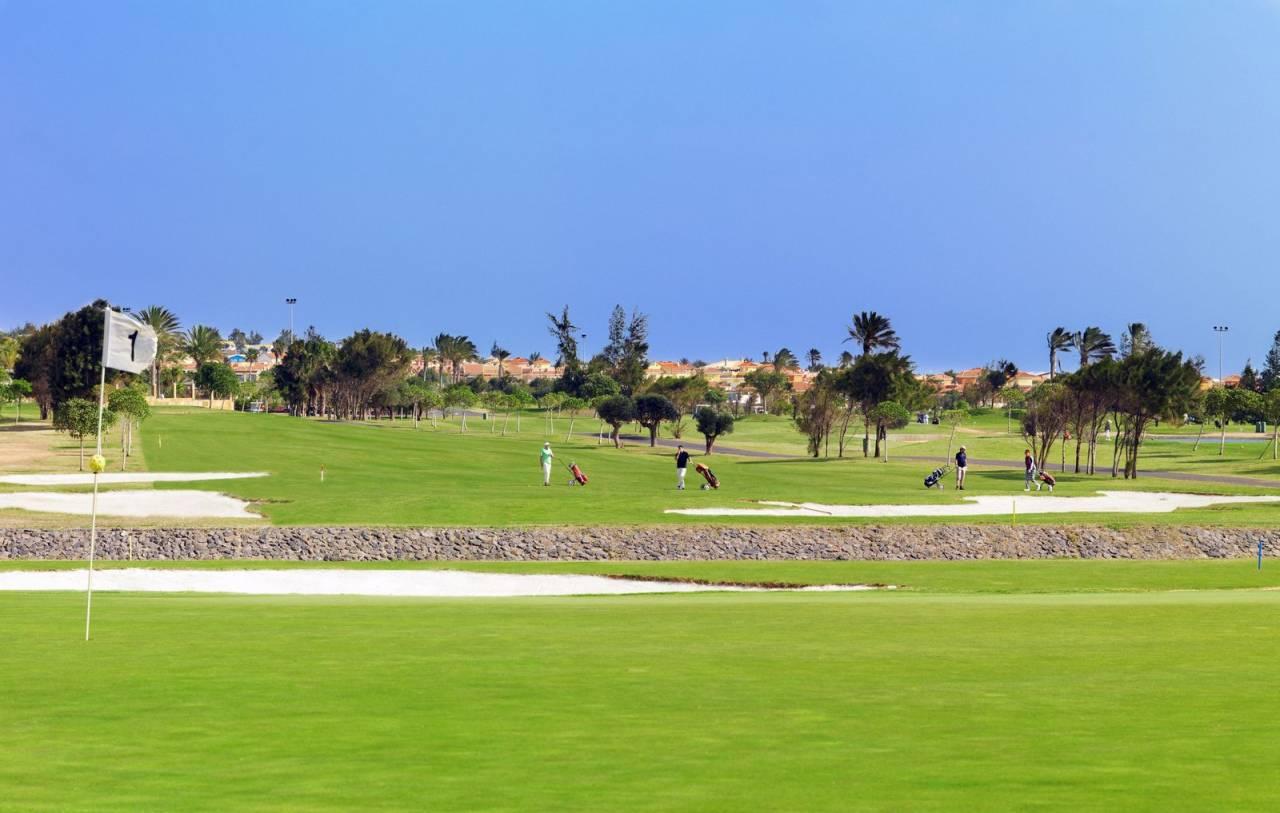 A smooth green next to a large sand bunker