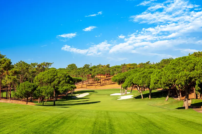 A well maintained fairway nestled with sand bunkers