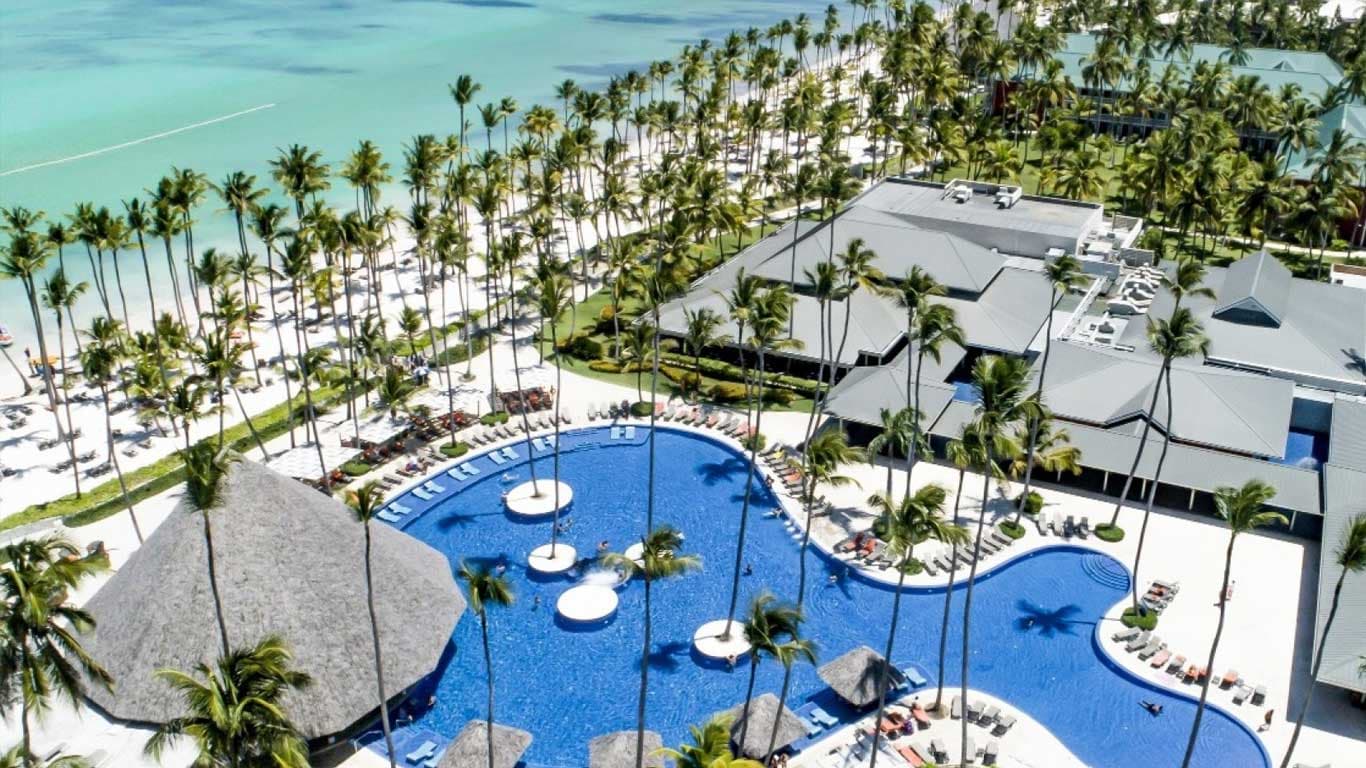 Overhead view of an outdoor swimming pool surrounded by palm trees