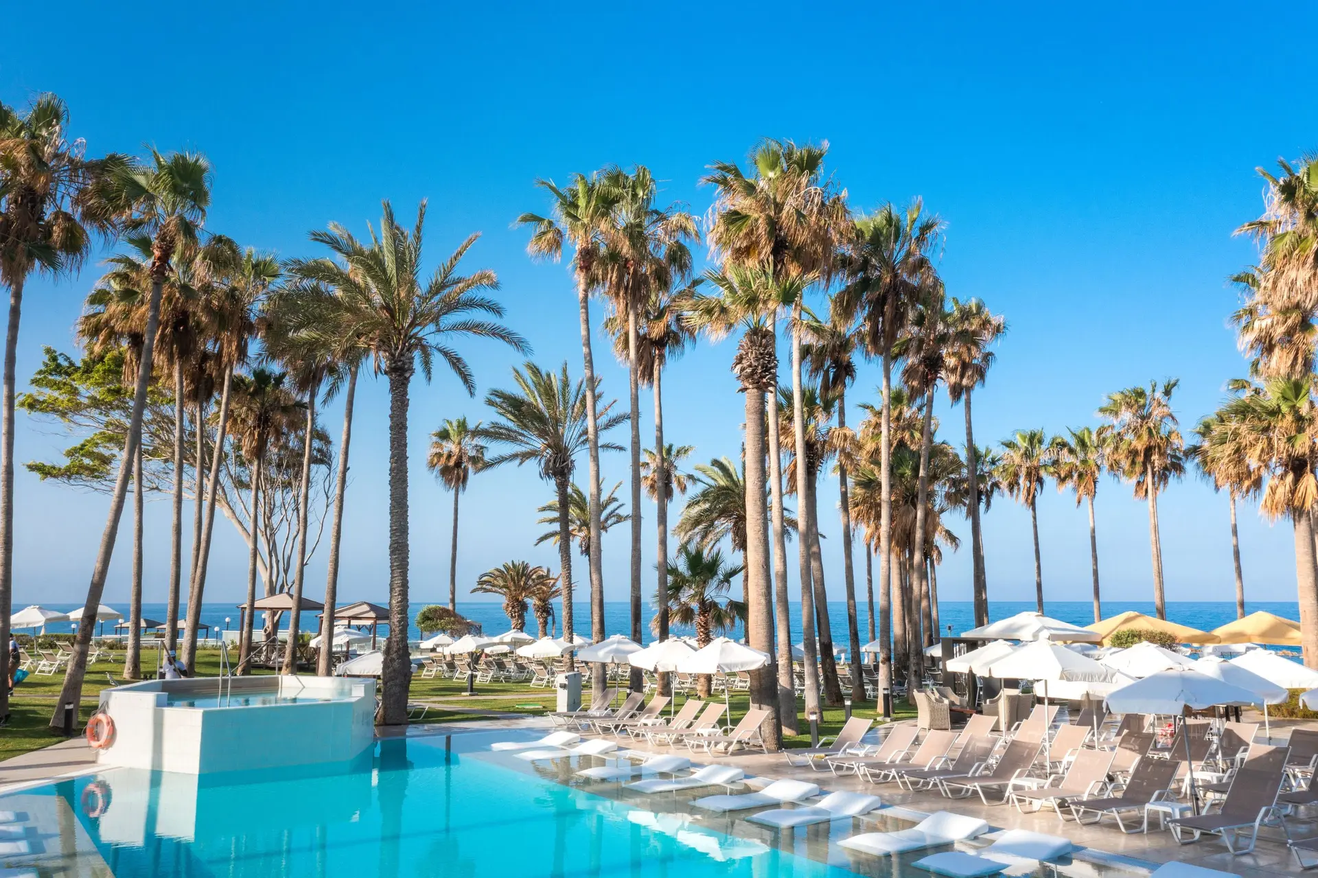 Outdoor swimming pool surrounded by palm trees
