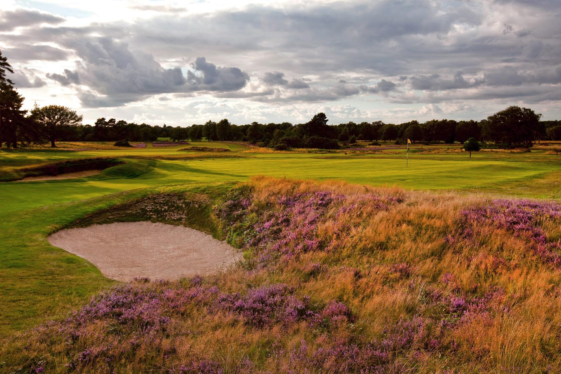 A well maintained fairway nestled with sand bunkers