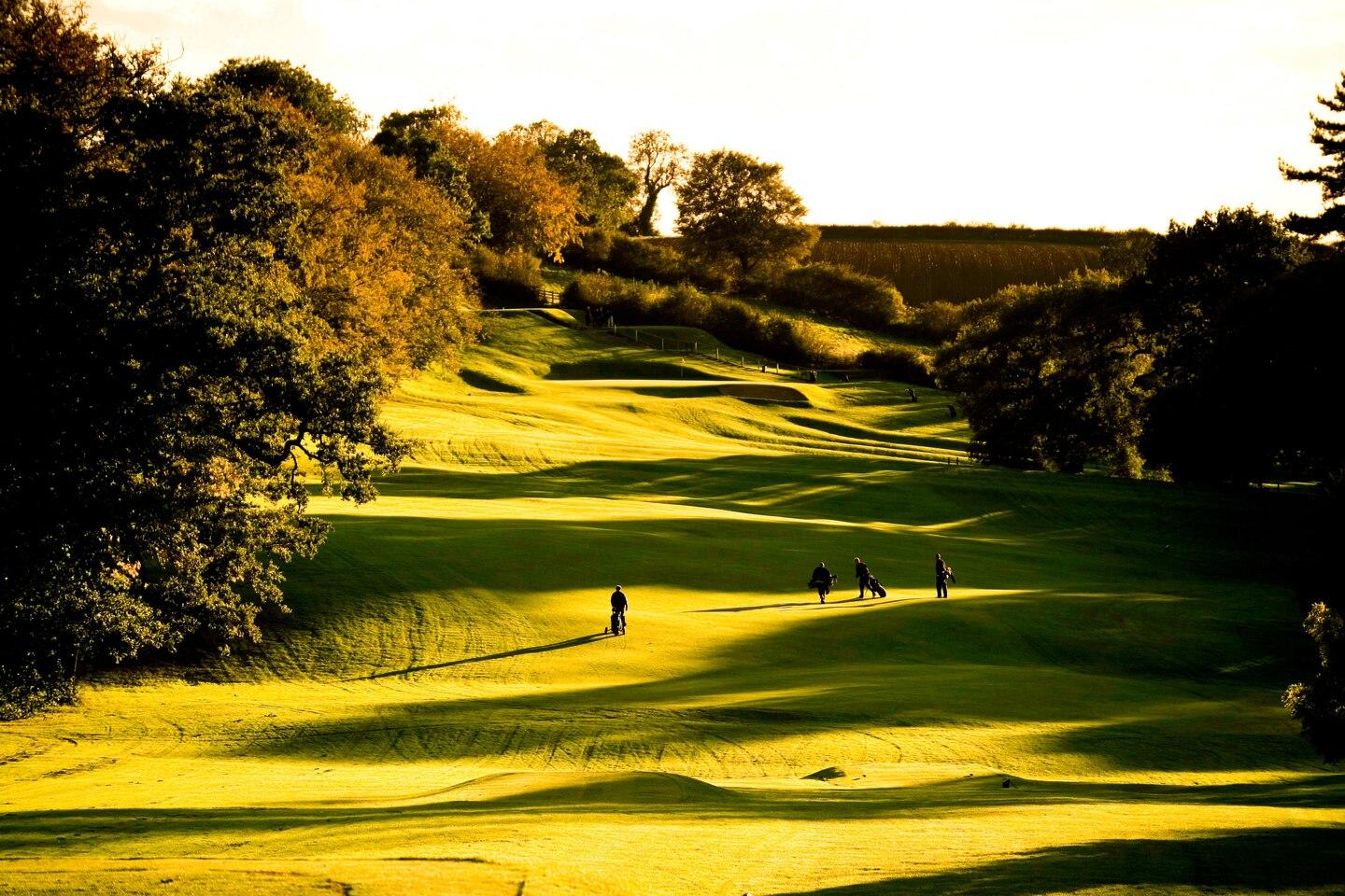 ide fairway with golfers walking towards a green