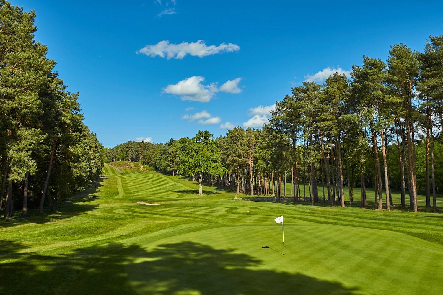 A wide fairway surrounded by a treeline