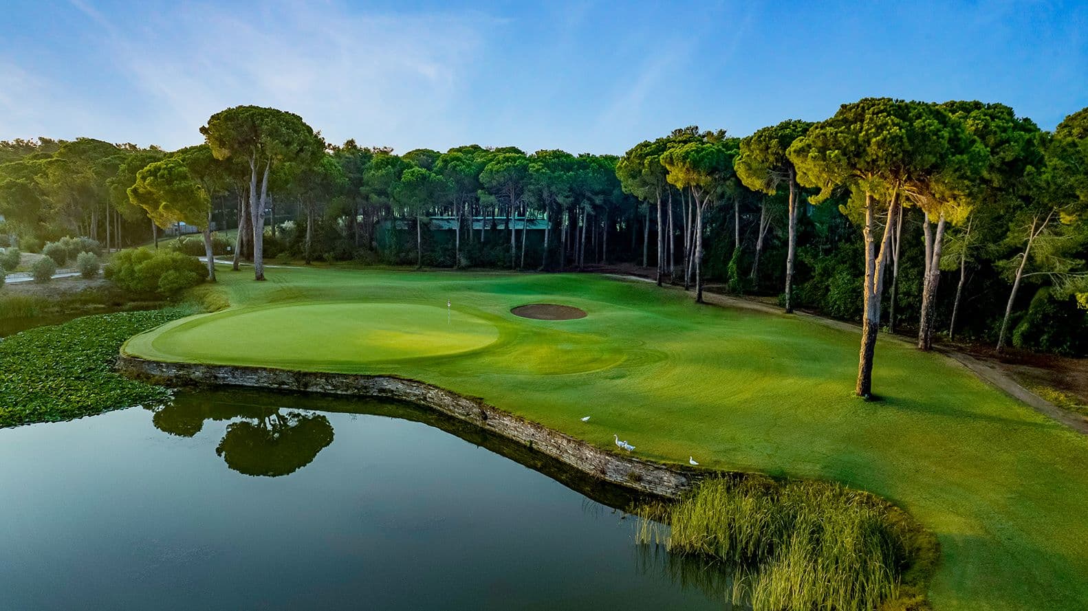 Green with large water hazard in front of it and trees behind