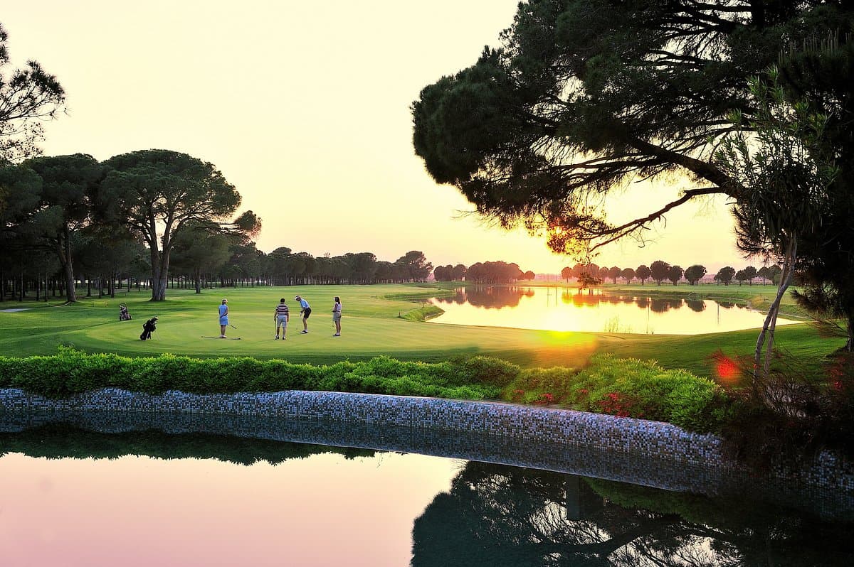 Four players on a green with two water hazards around it and trees lining one side of the fairway.