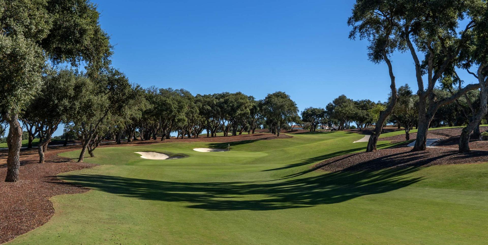 A well maintained fairway nestled with sand bunkers