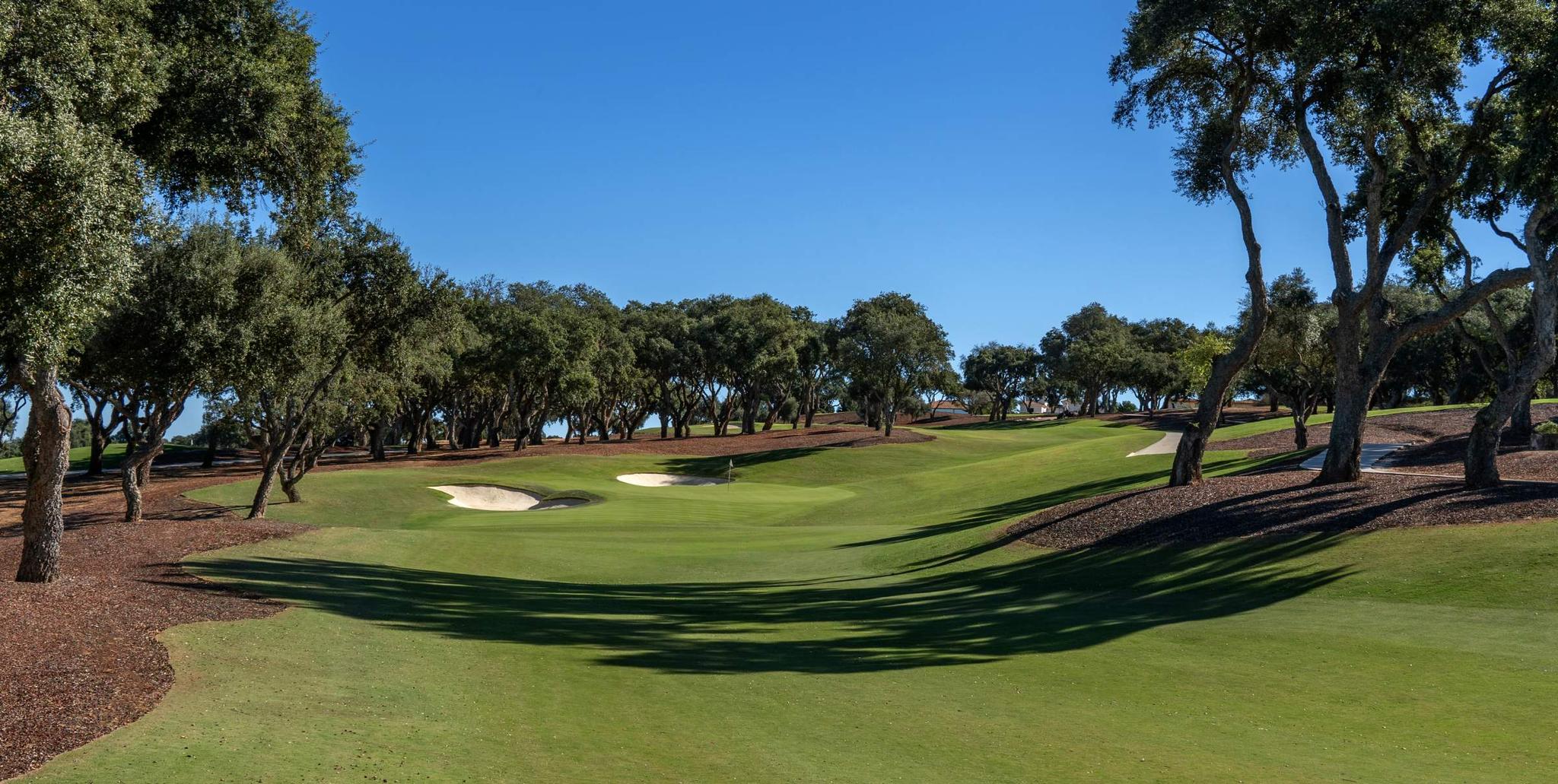 A well maintained fairway nestled with sand bunkers