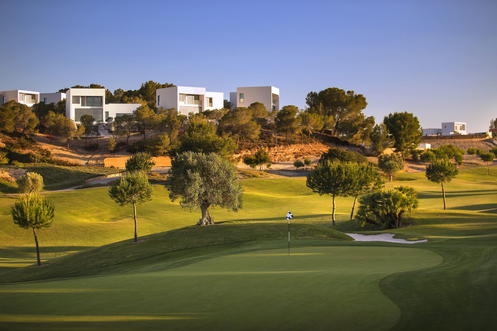 Undulating green with residences in the background