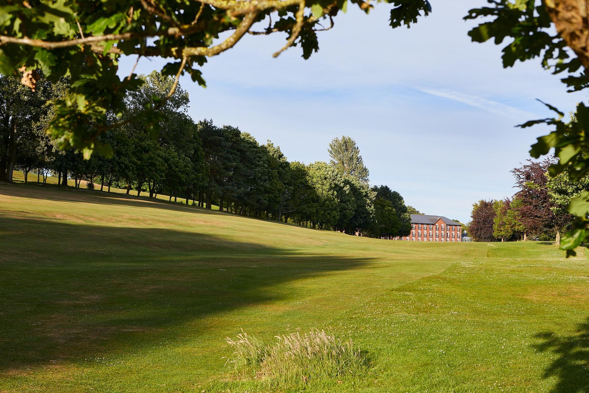 A wide fairway surrounded by a tree line
