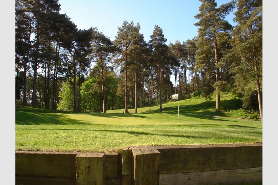 Green surrounded by trees with a water hazard behind