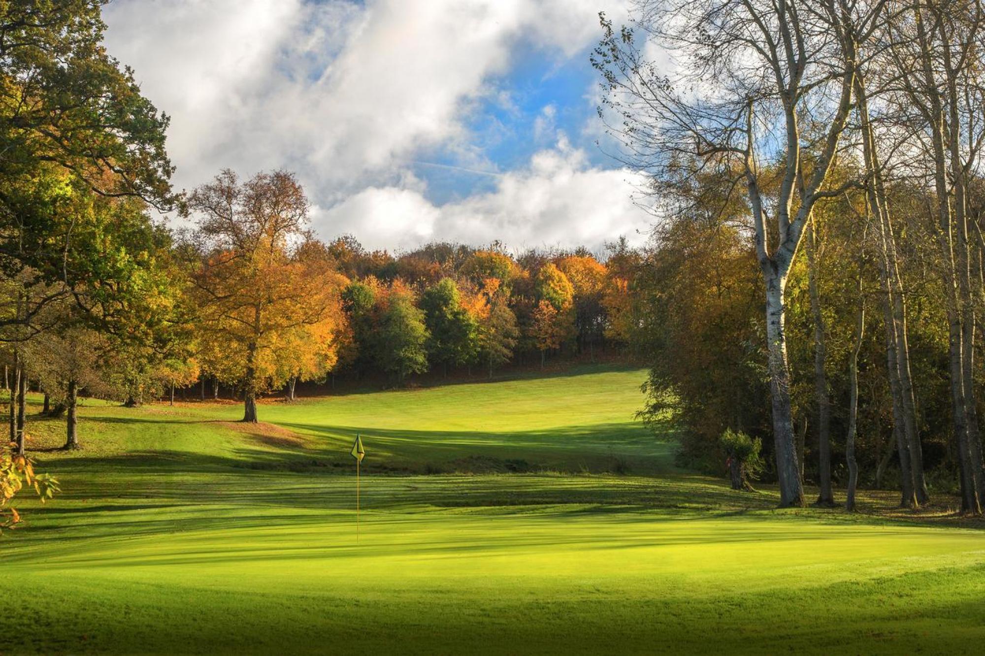 Well maintained fairway surrounded by a tree line
