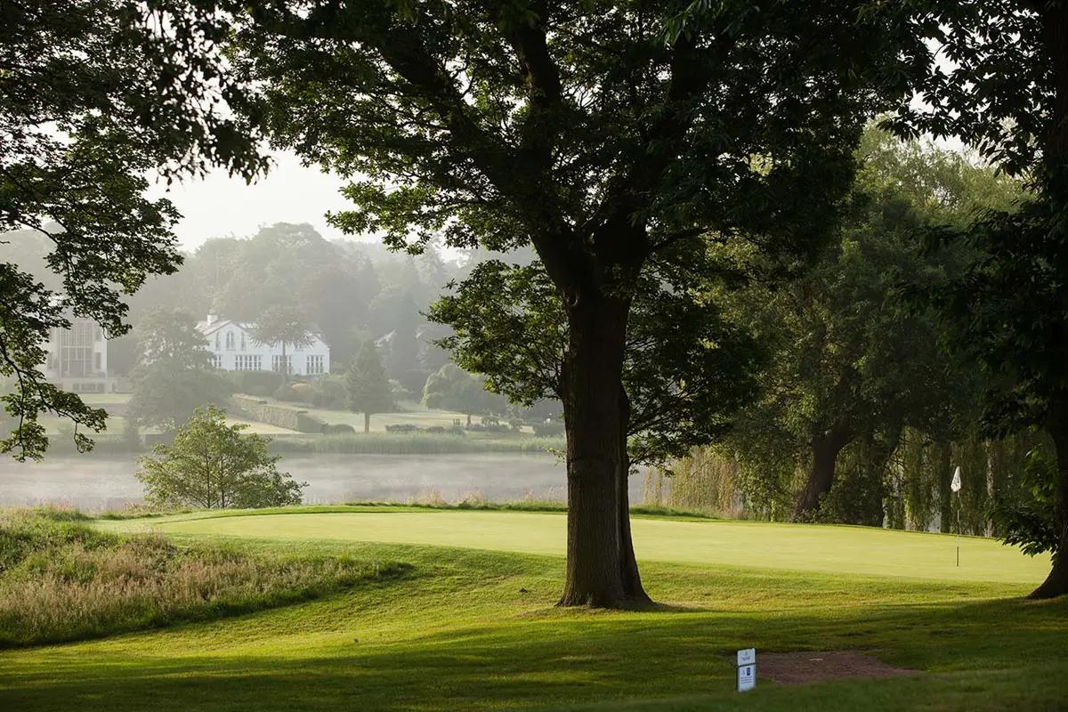 A well maintained fairway with a tree in the centre