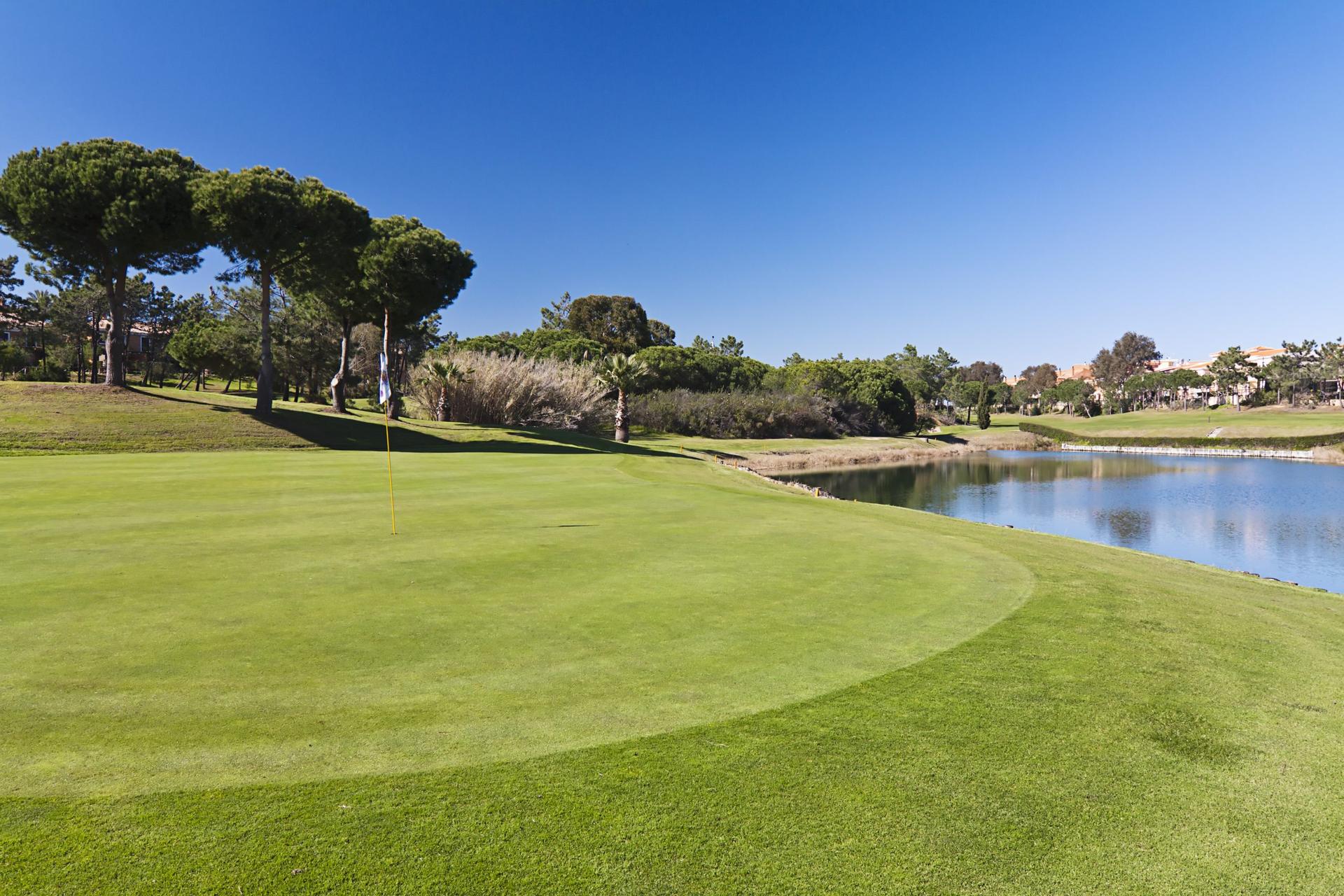 A well maintained green next to a water hazard