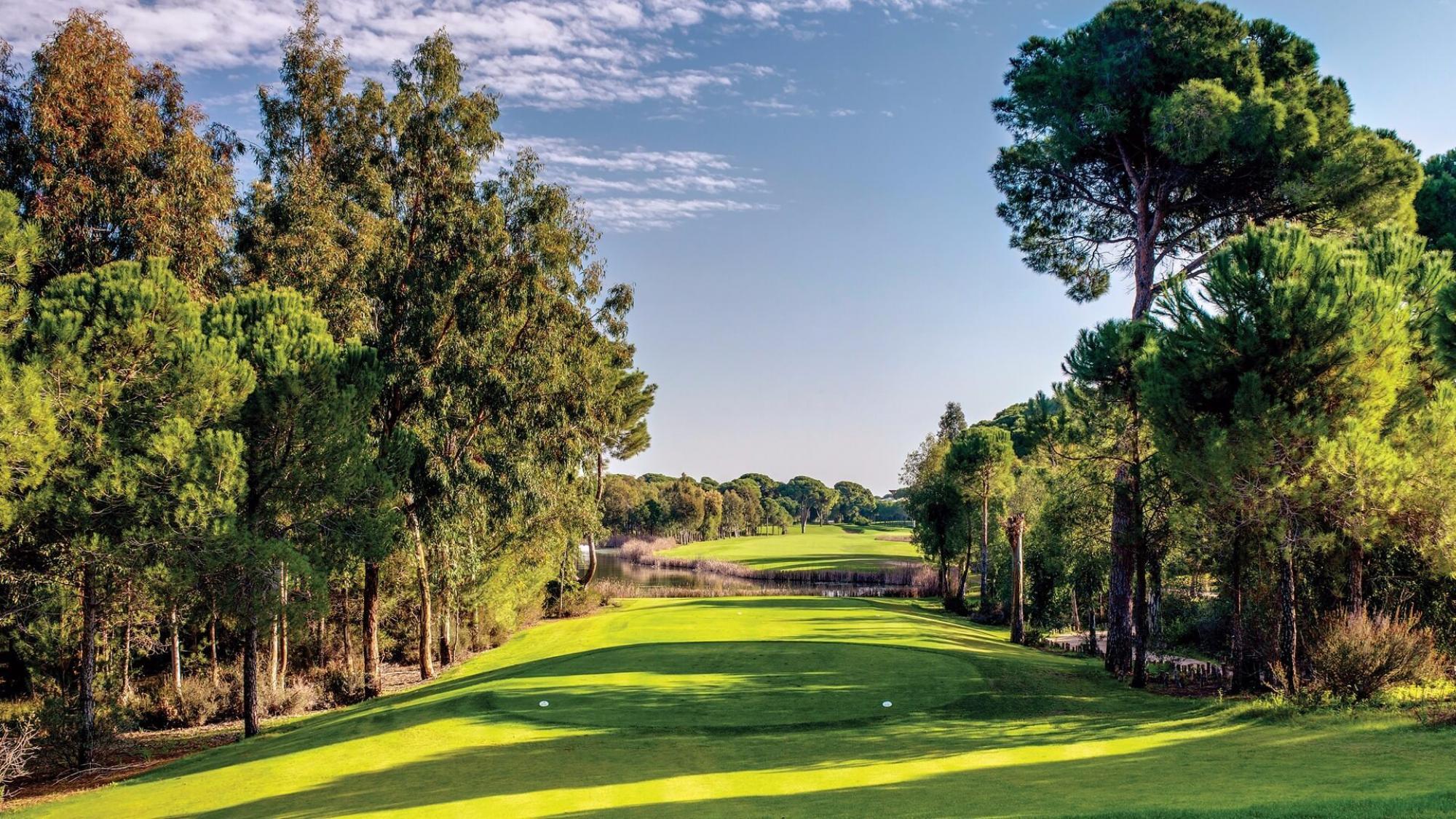 A well maintained fairway under clear blue skies
