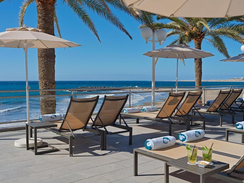 Ocean facing sunbeds lined with palm trees at Hotel Don Gregory by Dunas