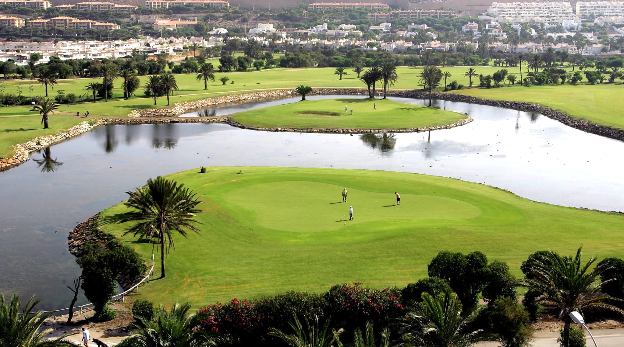 A smooth green surrounded by a water hazard