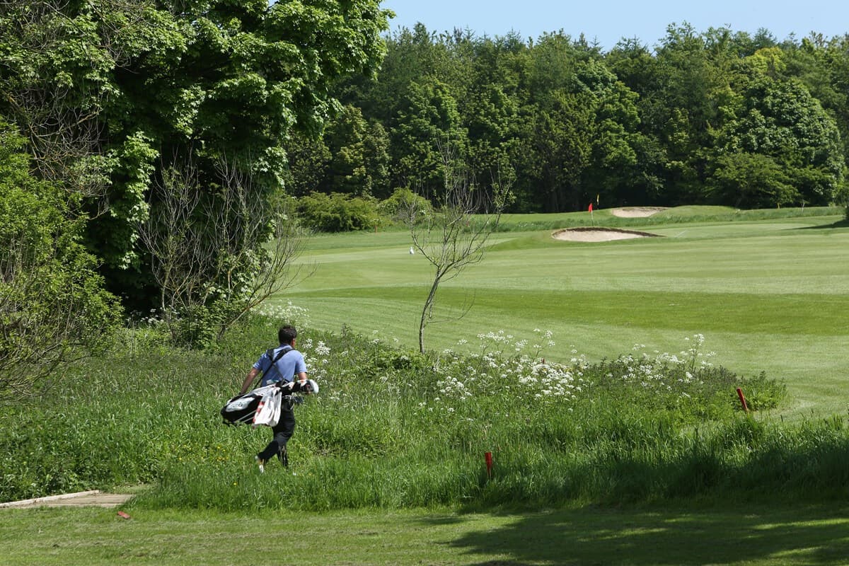 Golfer walking through a rough towards a fairway nestled with bunkers