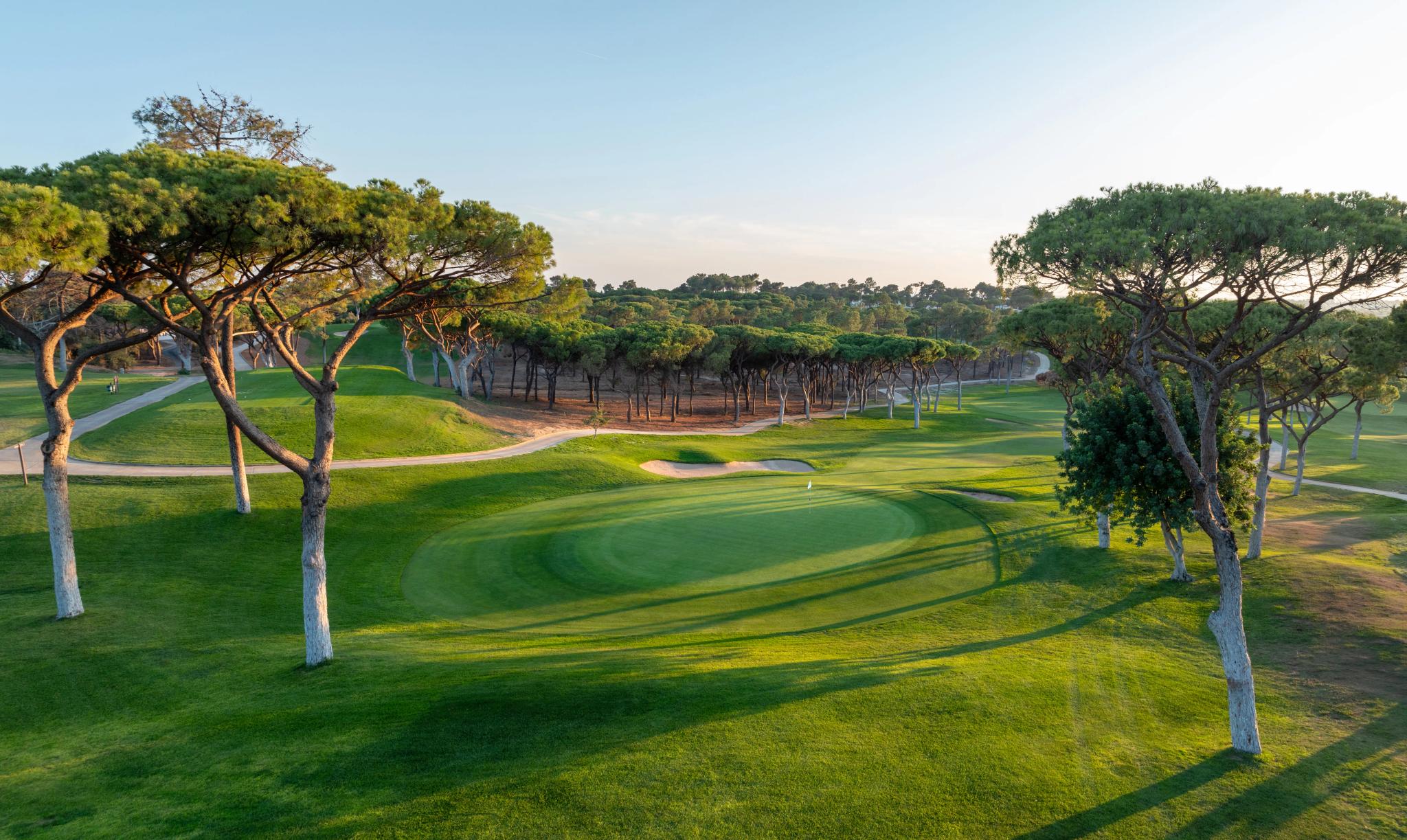 A smooth green surrounded by trees