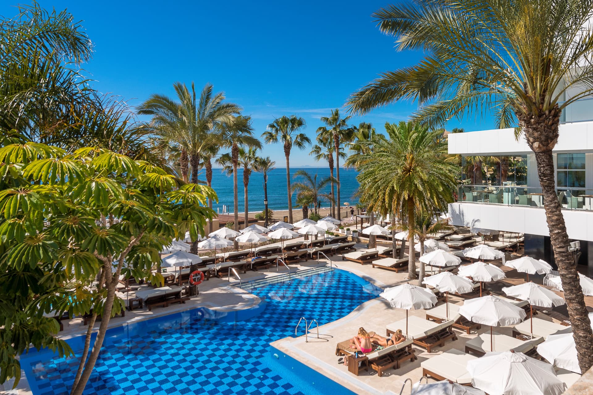 Overhead view of the outdoor swimming pool at Amàre Beach Hotel Marbella